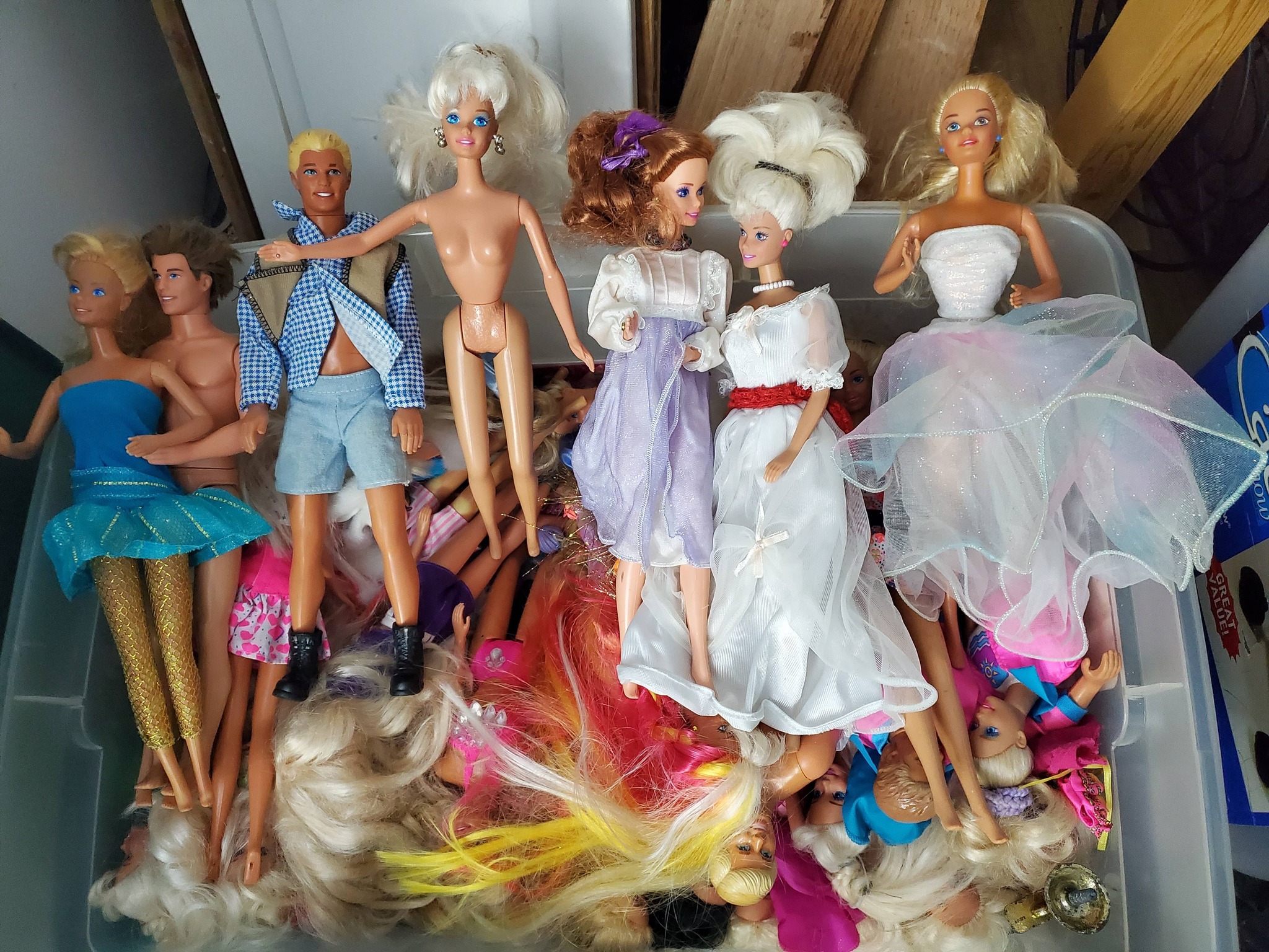 A Denton woman's Barbie collection, valued at over $6,000, was
