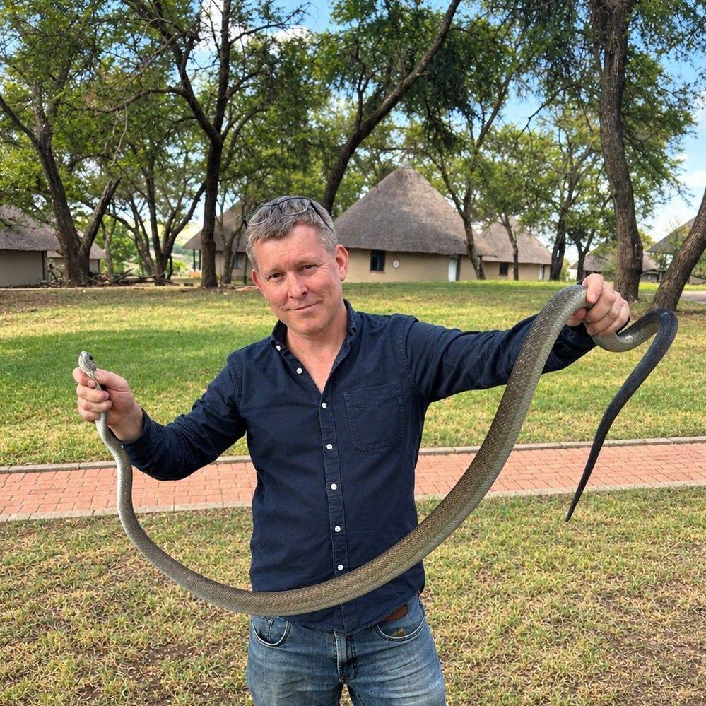 🐍 Not all snakes slither from side to side! The puff adder mostly uses ...