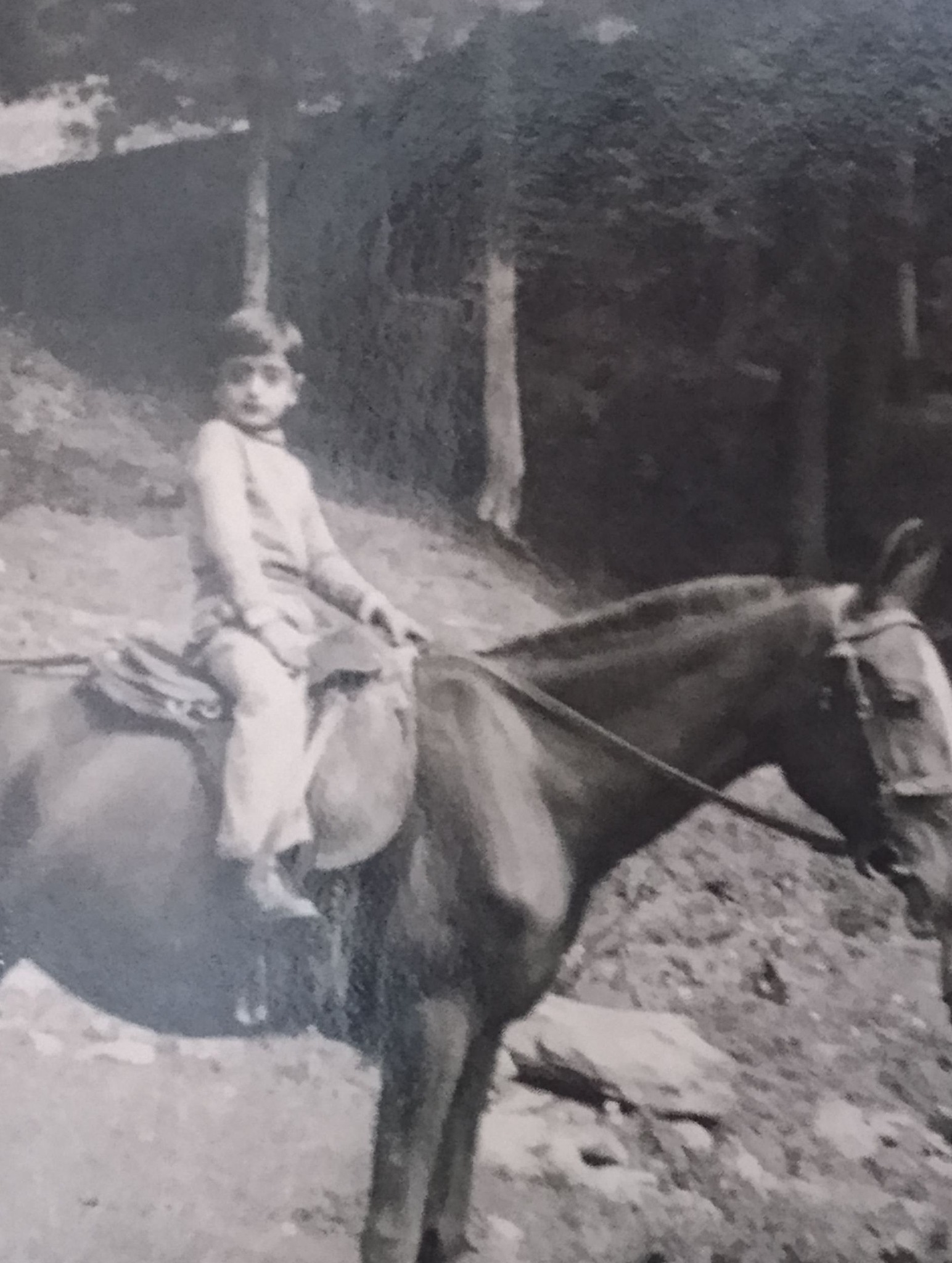 Happy old times . My father as a kid, riding his pony , circa 1941