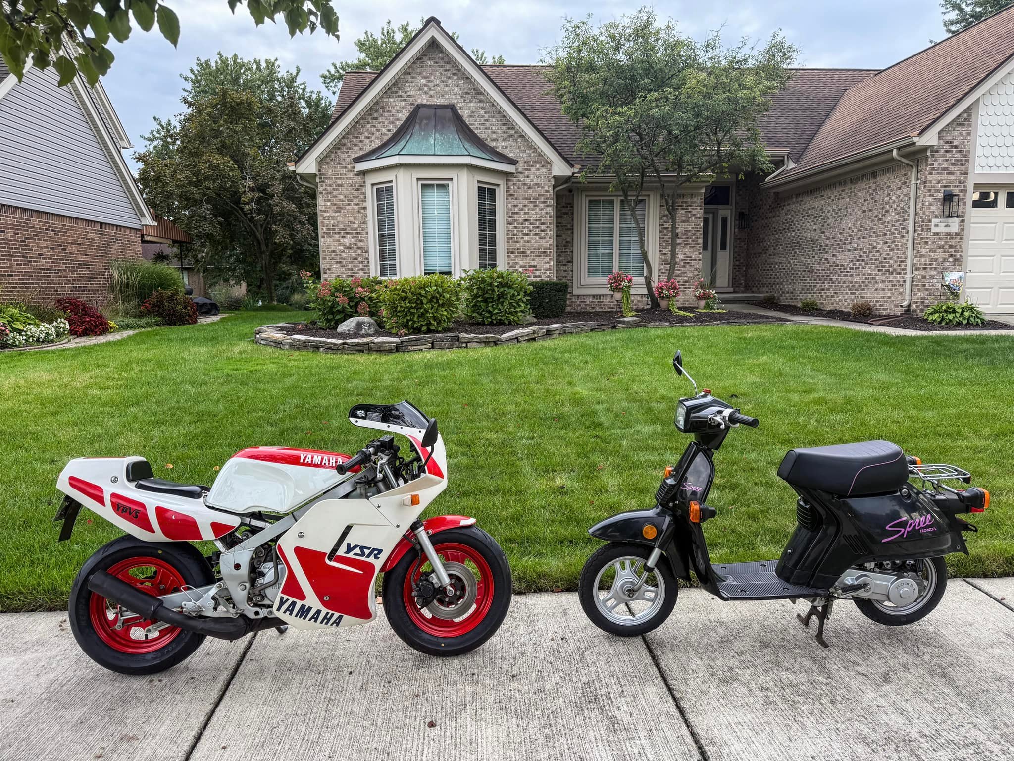 What are pocket bikes?