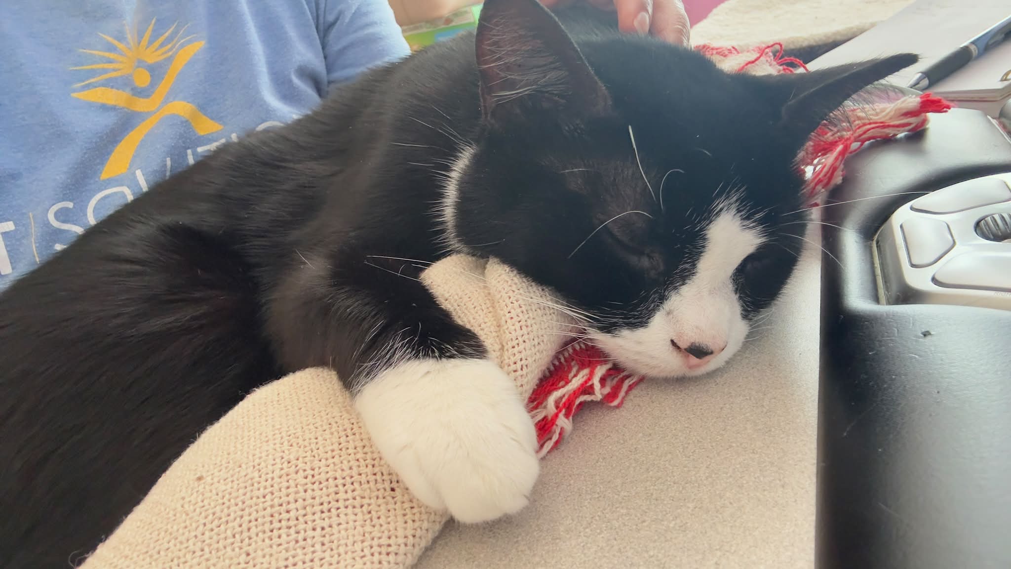 b12 injections for cats with pancreatitis Is prescription food necessary and IBD? Vitamin B12 Shots - default-shipping Choose Location:Mobile Services - All of New York City and Long Island