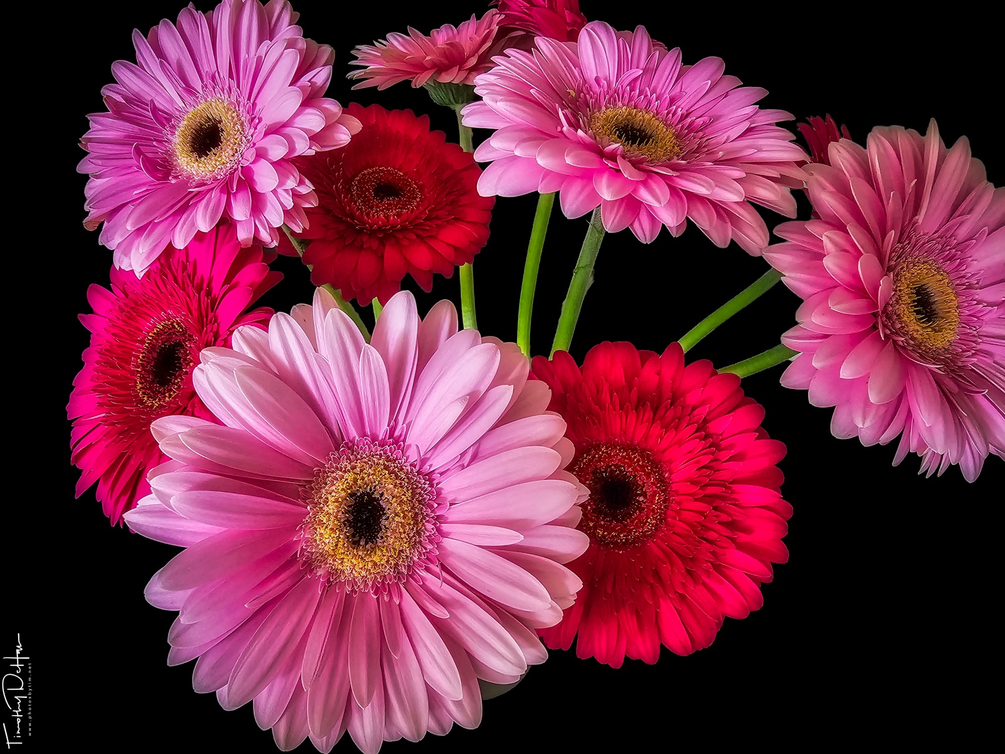 Canon EOS 5D MARK3 バッテリー2個付き50mm f1.4usm Canon EOS 5D Mark III with 50mm f/1.4 lens image examples