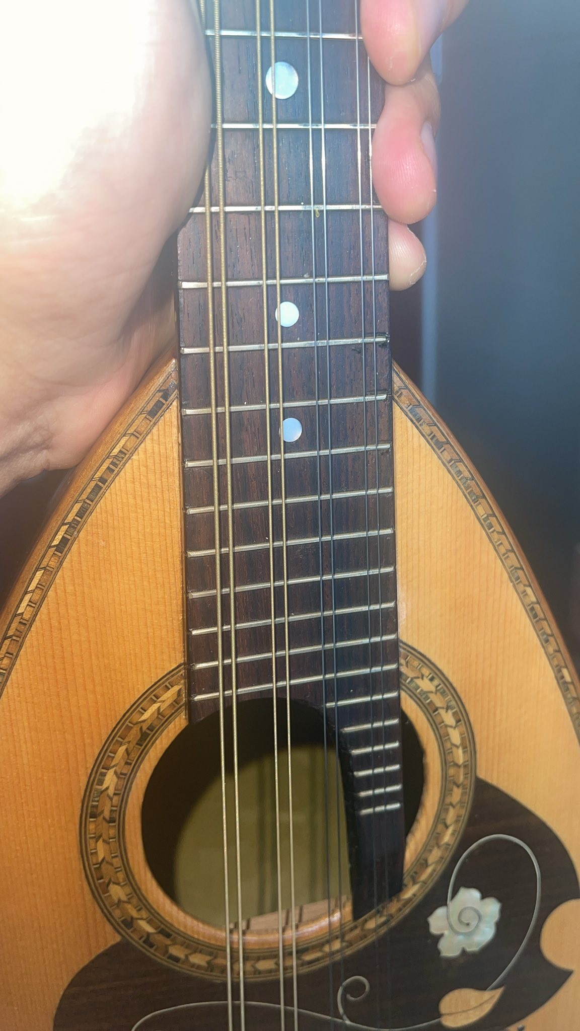 Suzuki M20 mandoline from Peru