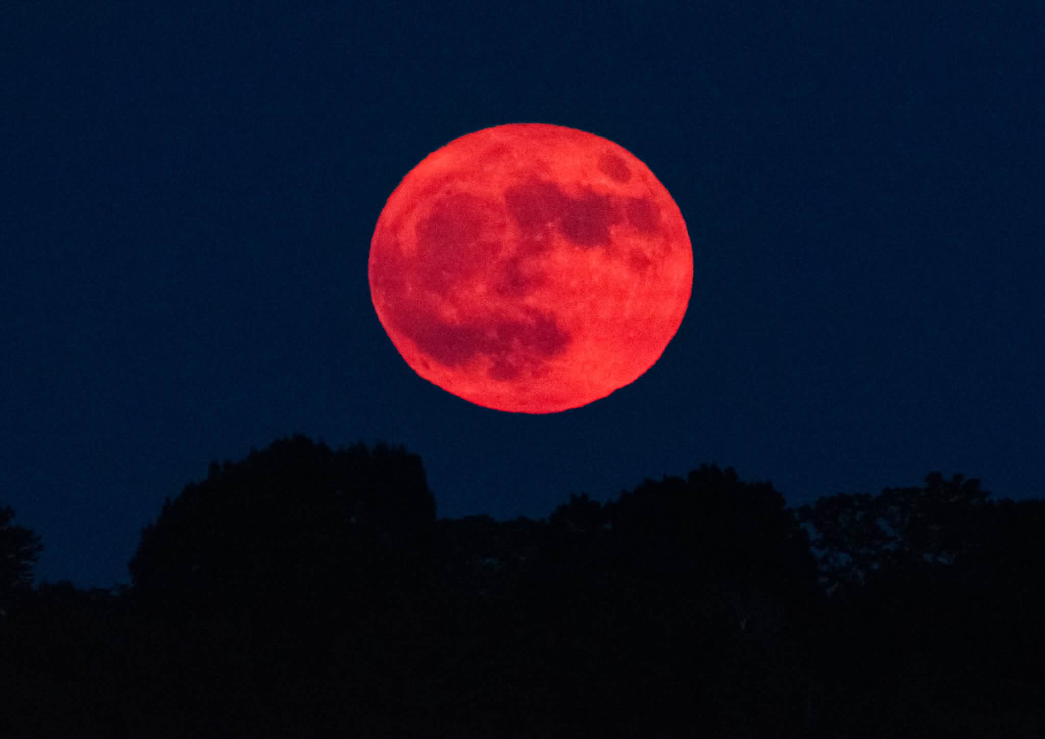 Tonight's Full Strawberry Moon 🍓 🌕