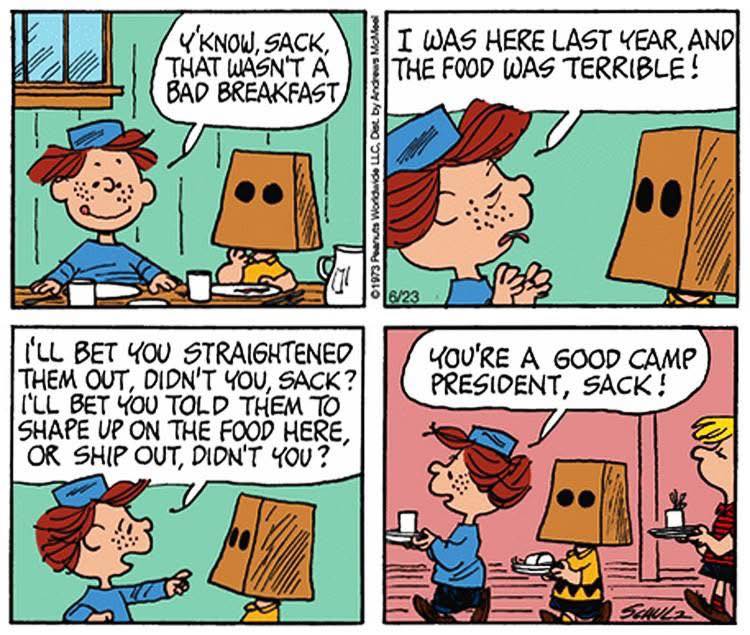 Charlie Brown develops a baseball rash in a 1973 Peanuts comic