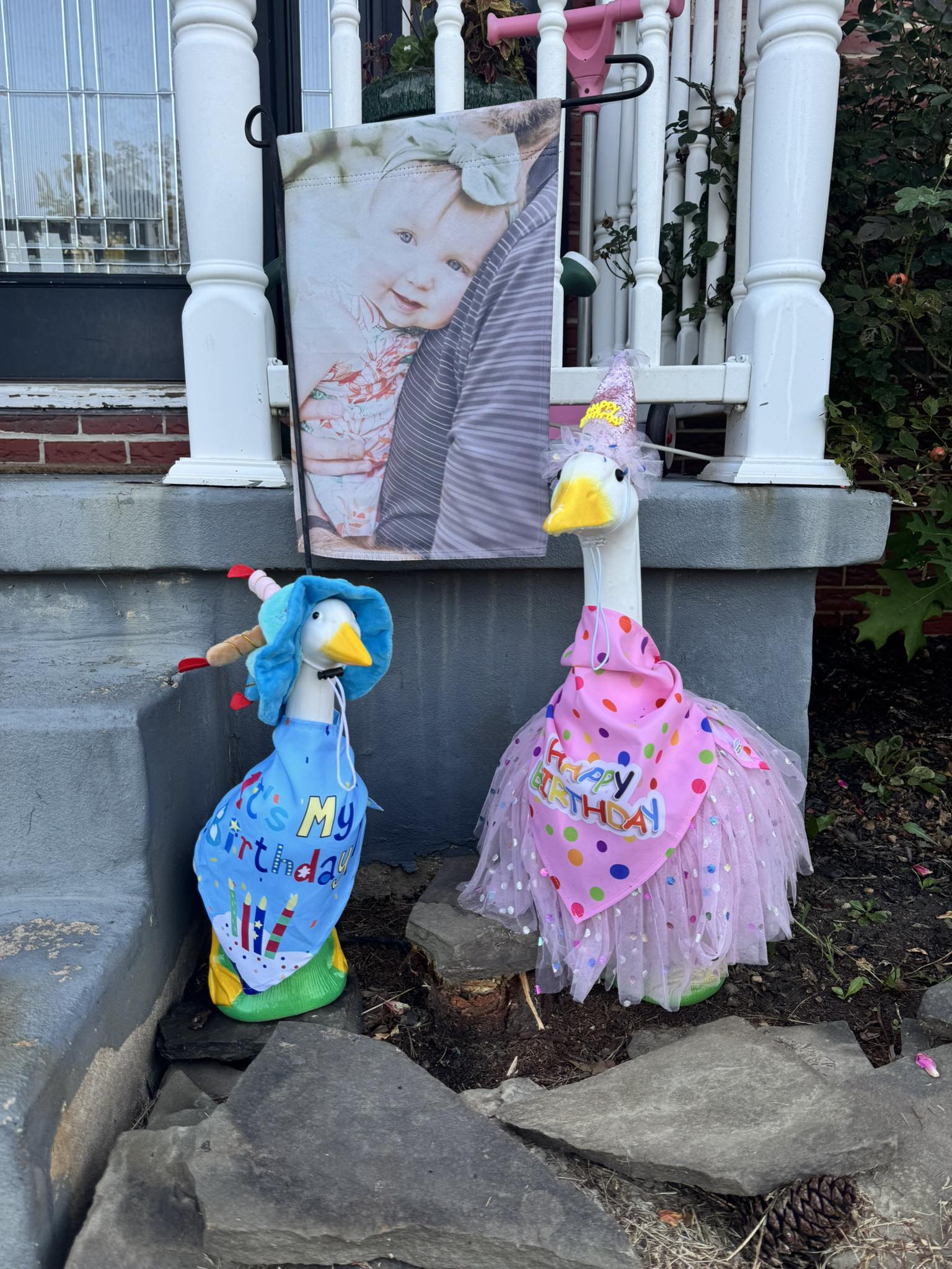 The Porch Goose Club of America | Today my daughter turns 6, and what ...
