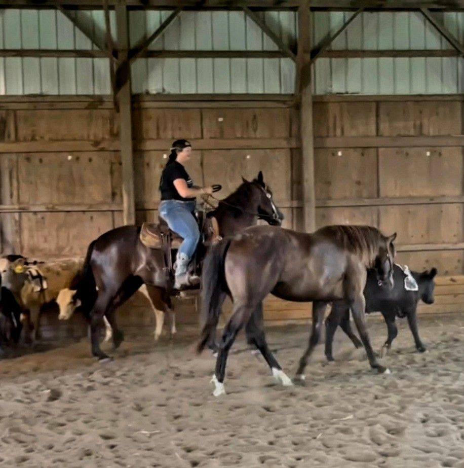 Monday morning trail ride at Broken Arrow Ranch | Diana Olds