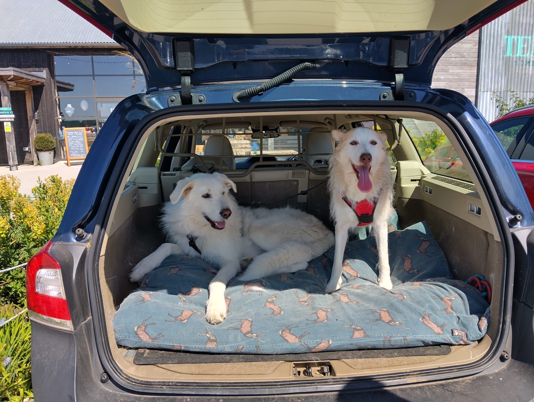 Heavy Duty Waterproof Boot Liner For Volvo V90 Estate – Anti-Slip, Foldable, Dog-Friendly