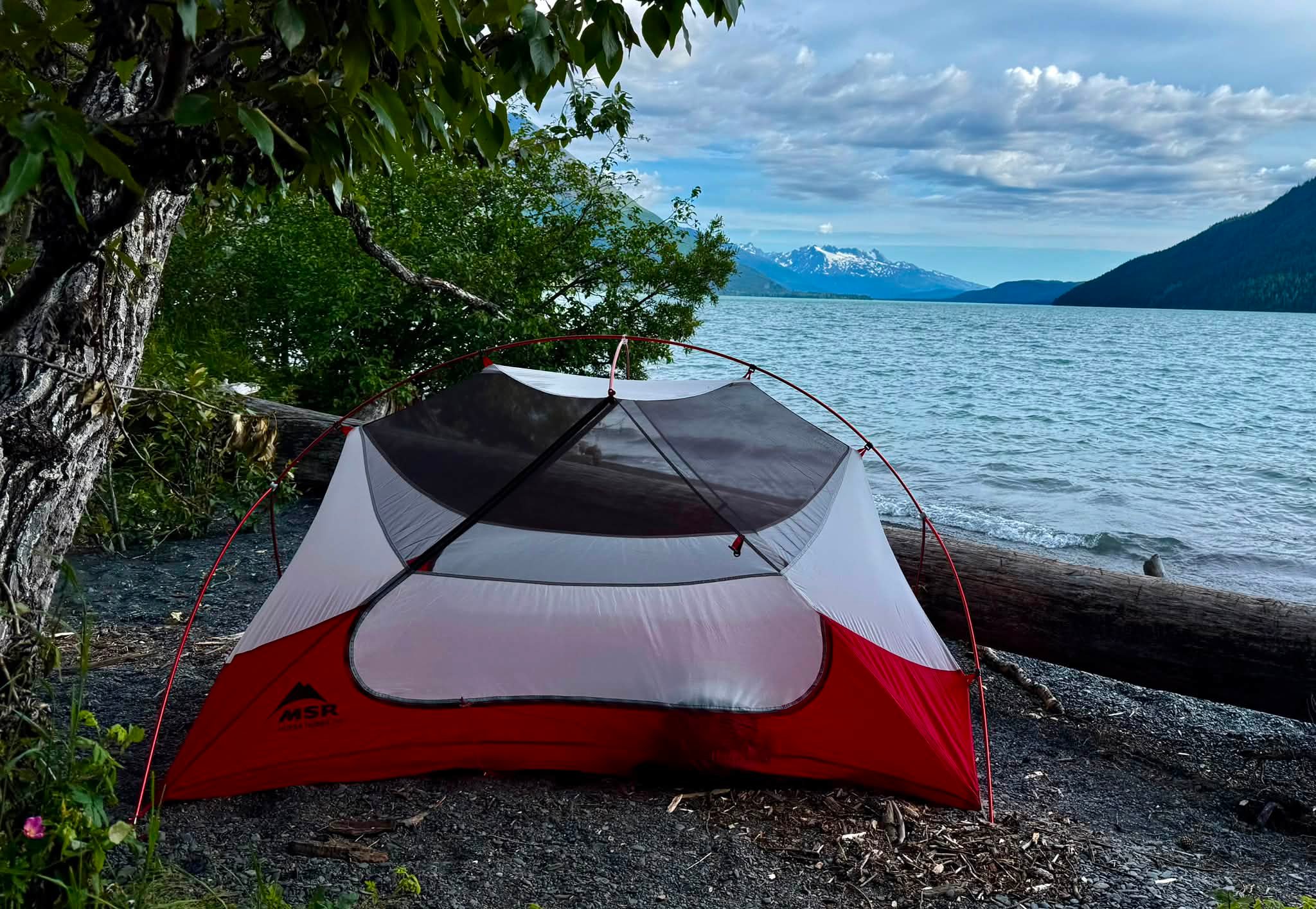 zelt draußen Große Campingzelte für 8–12 Personen für Familien, wasserdichtes Zelt, Sonnenschutz, tragbares Kuppelzelt, Rucksackzelt für drinnen und draußen, Familienpartyzelte Sport & Freizeit Personalize Case Color:SPEED BUBBLES BLACK w/ FIRE IRIDIUM Highend Kompletträder: Rennrad &