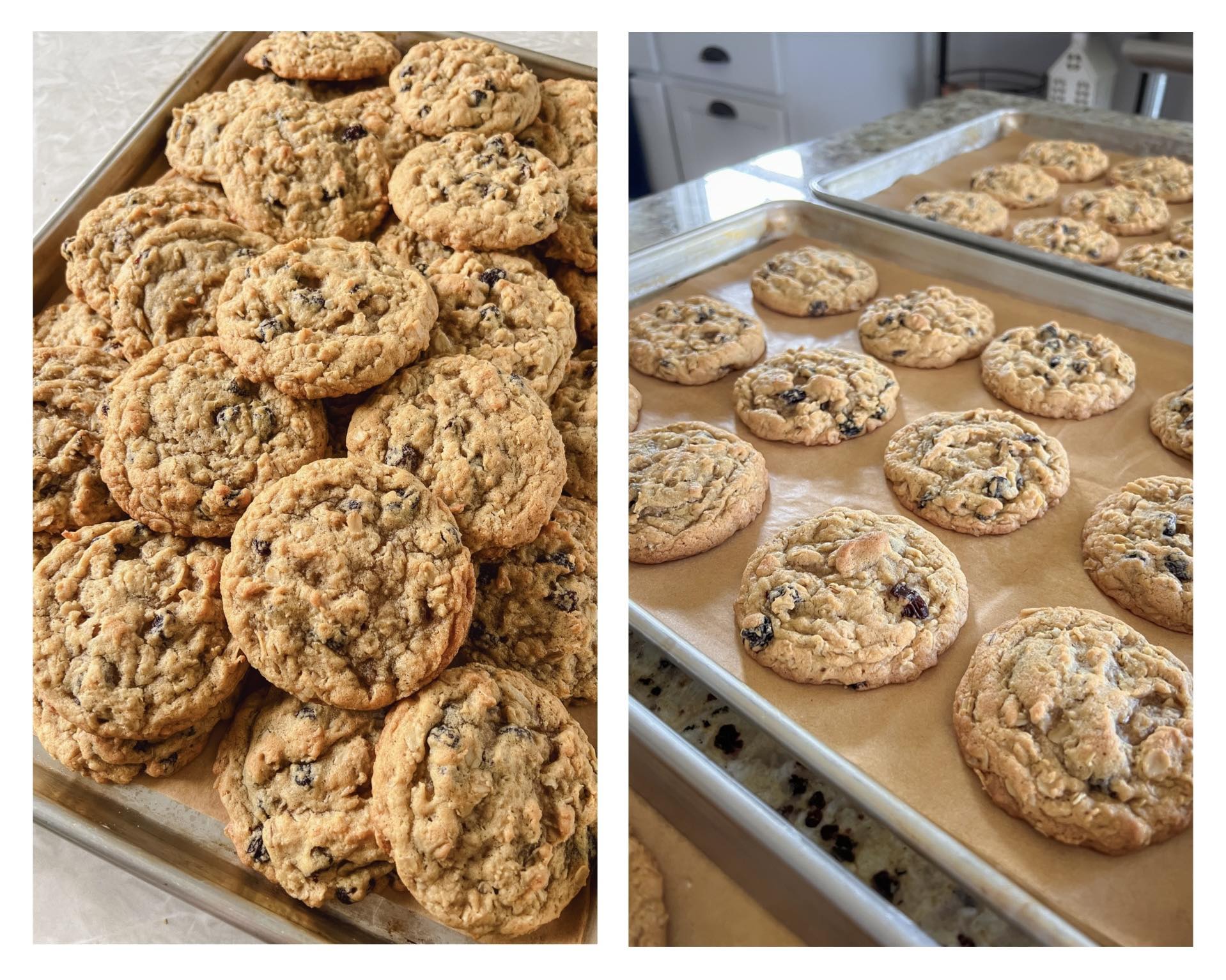 Best Cookie Recipes Ever | Copycat Otis Spunkmeyer Oatmeal Cookies ...
