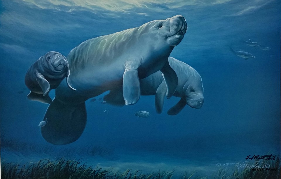 Fred Rothenbush Artwork updated... - Fred Rothenbush Artwork
