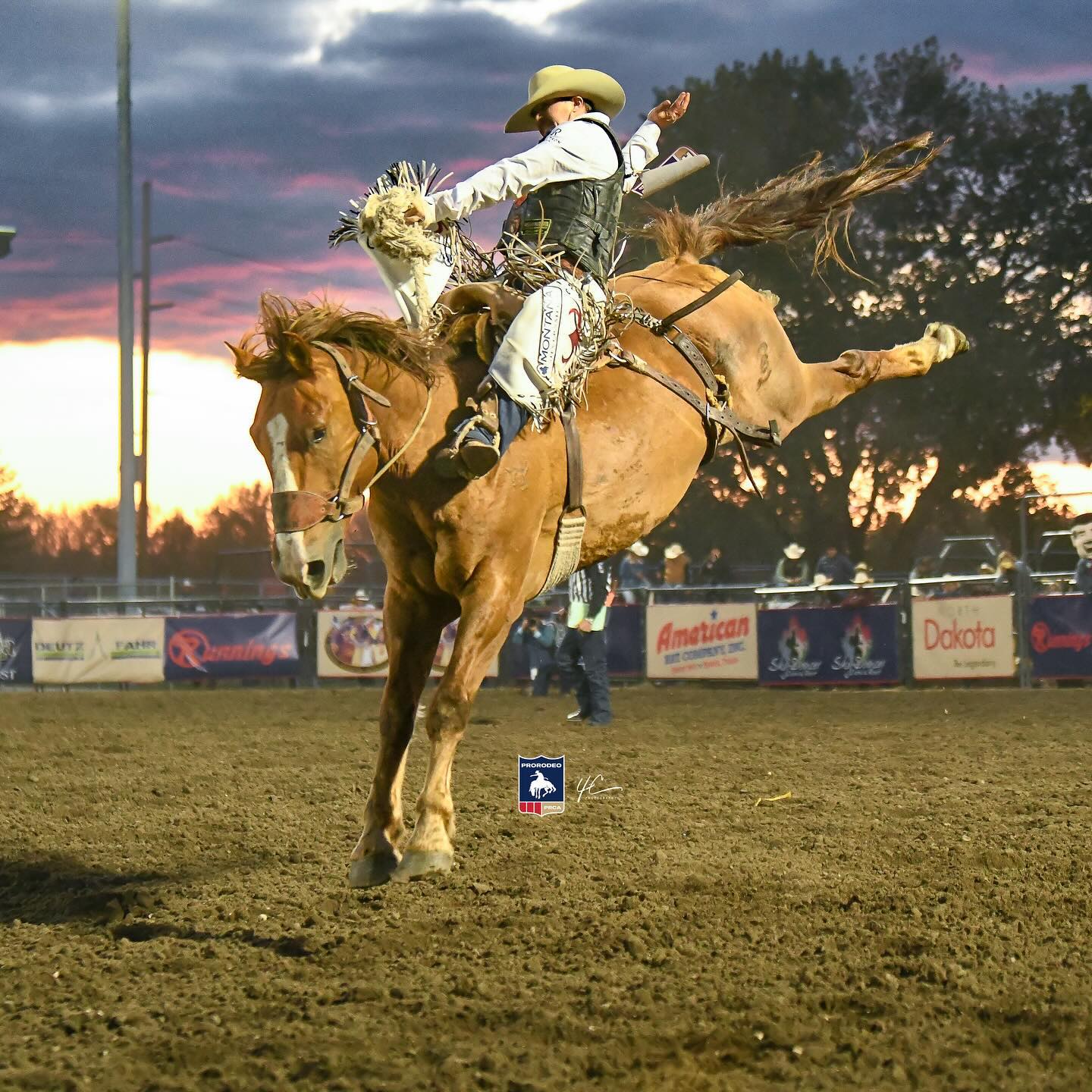 Chase Brooks Professional Saddle Bronc Rider