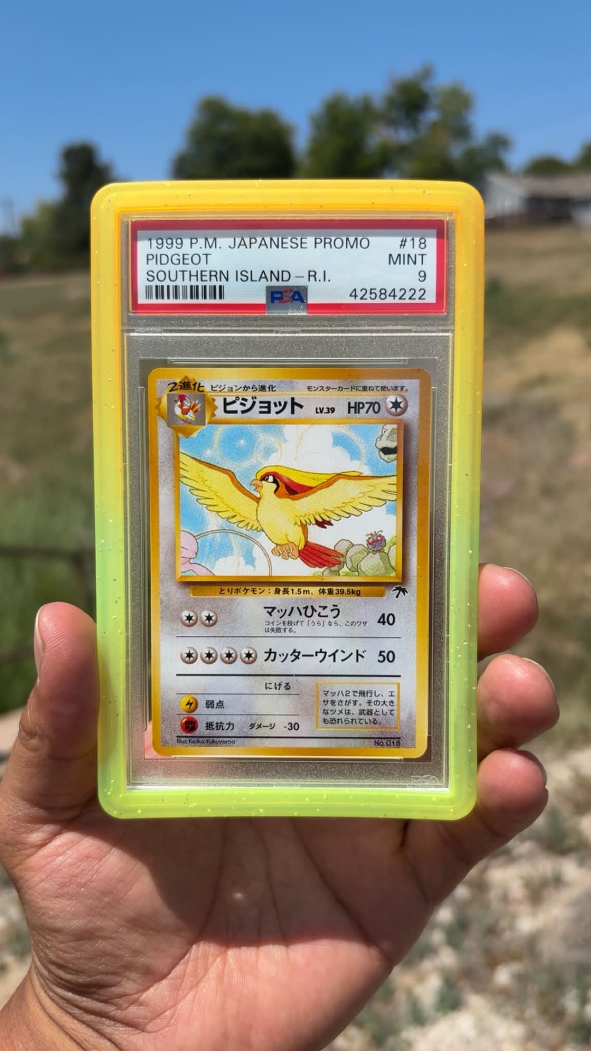 PSA 9 graded 1999 Japanese Promo Pidgeot card from Southern