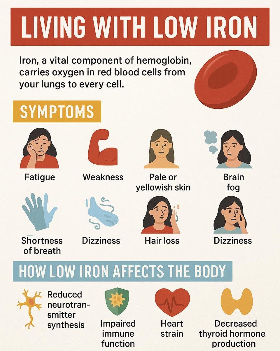 klow iron deficiency doesn't just mean “low iron” And men, before you stop reading.. this affects you too. Low iron affects how you feel every day. Women (and me) may notice: Reduced Glutathione 500 mg