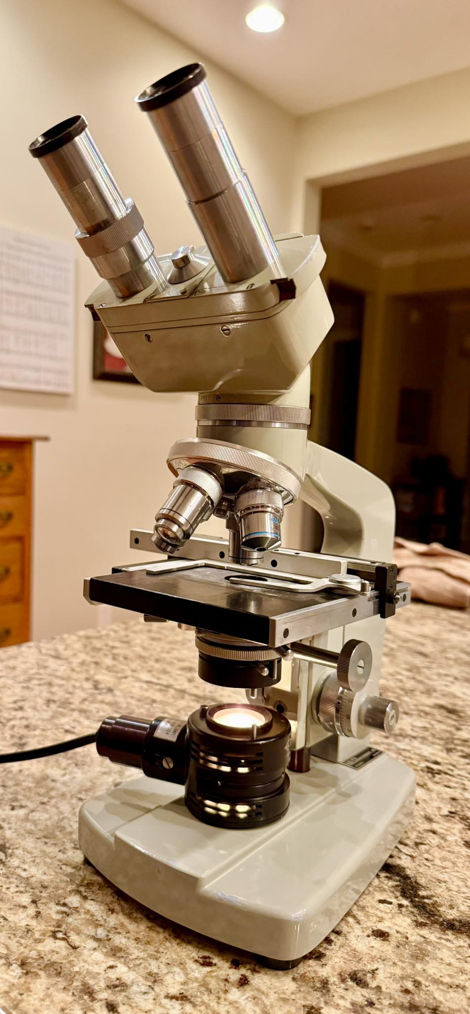 Free vintage Japanese microscope gift