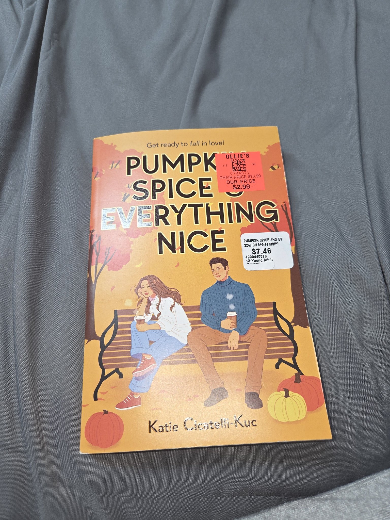 Has anyone read Katie Cicatelli-Kuc's YA book with fall feels