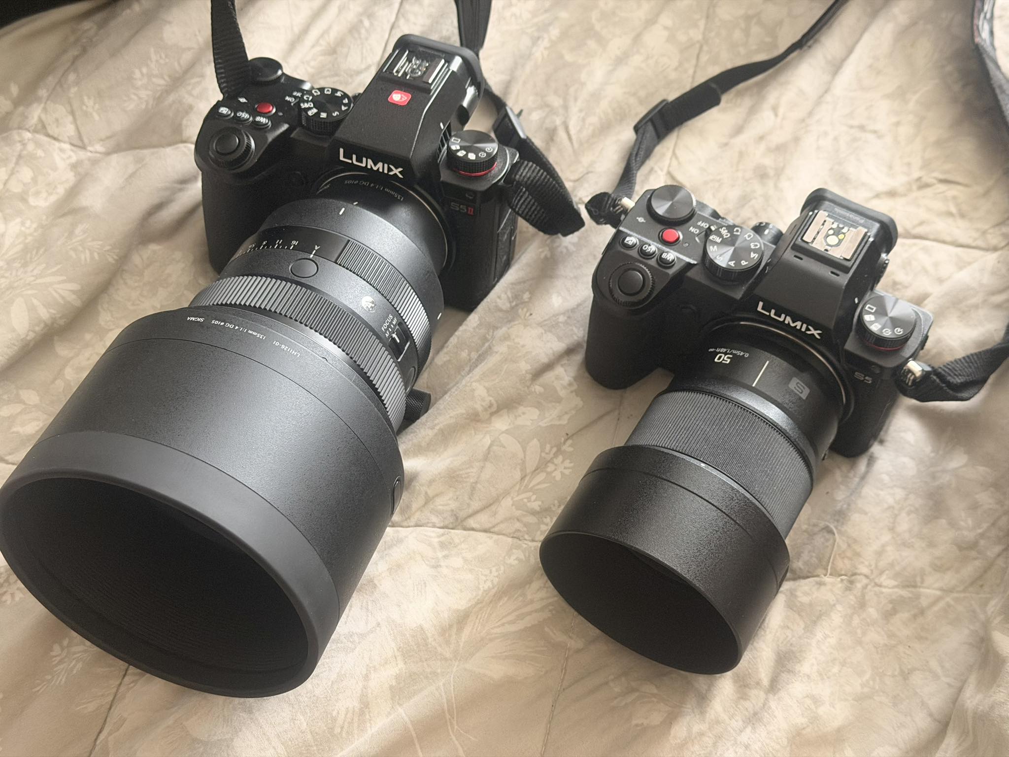 Lumix s5 ii + lumix 50mm F/1.8 I am really loving this lens