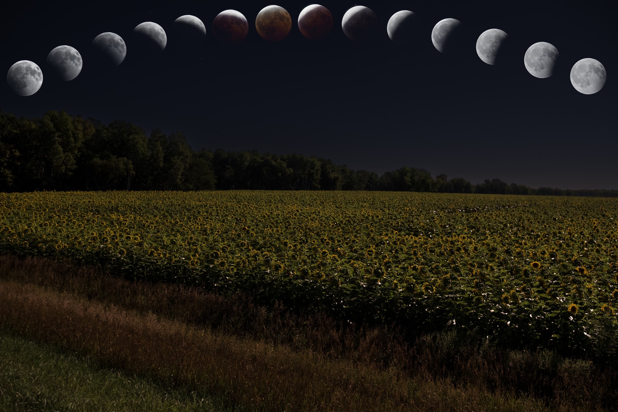 Lunar eclipse captured with ZWO 533MC Pro and Askar 71F