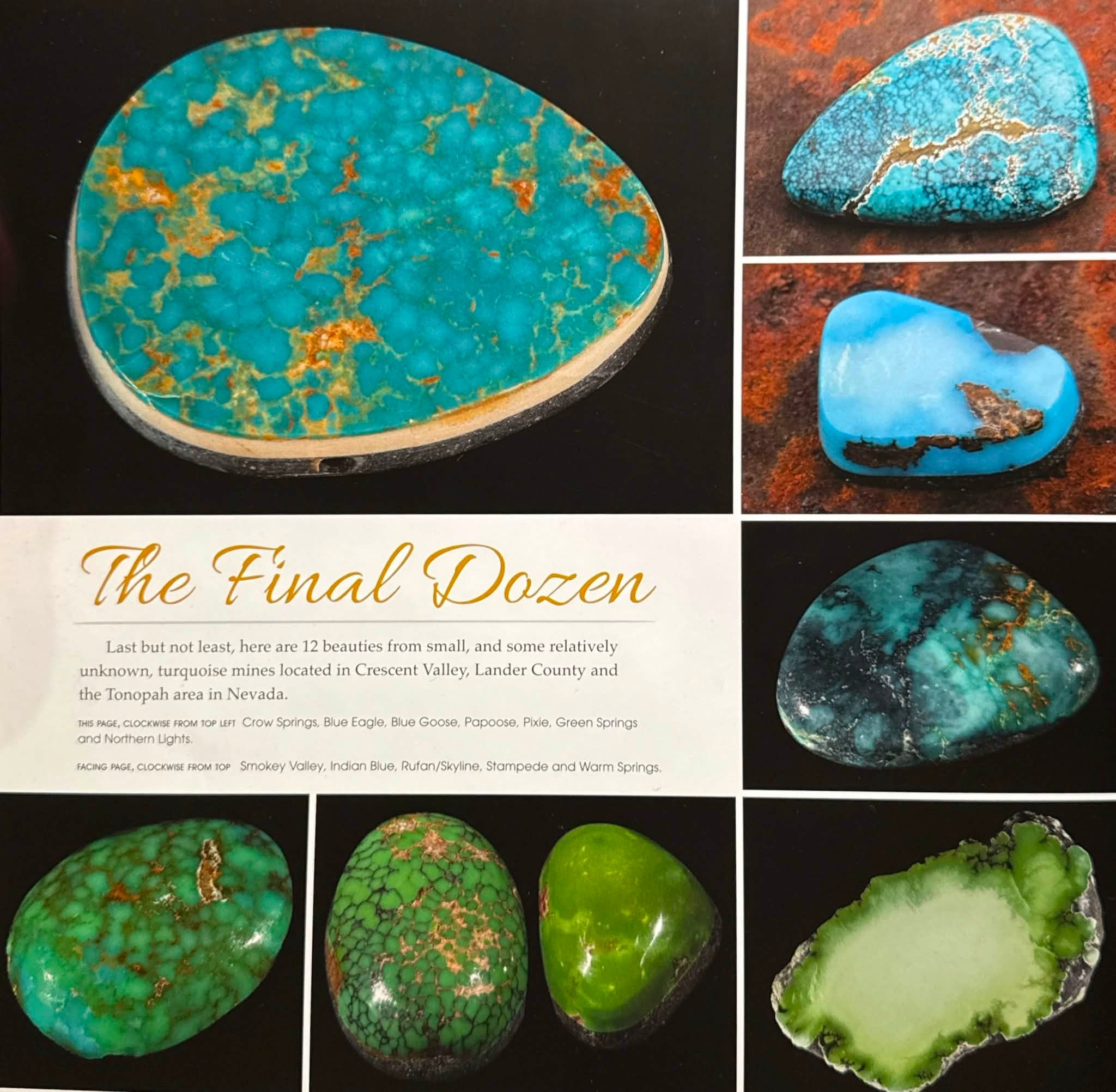 Why is 'Jewel of the Southwest Turquoise' book so expensive?