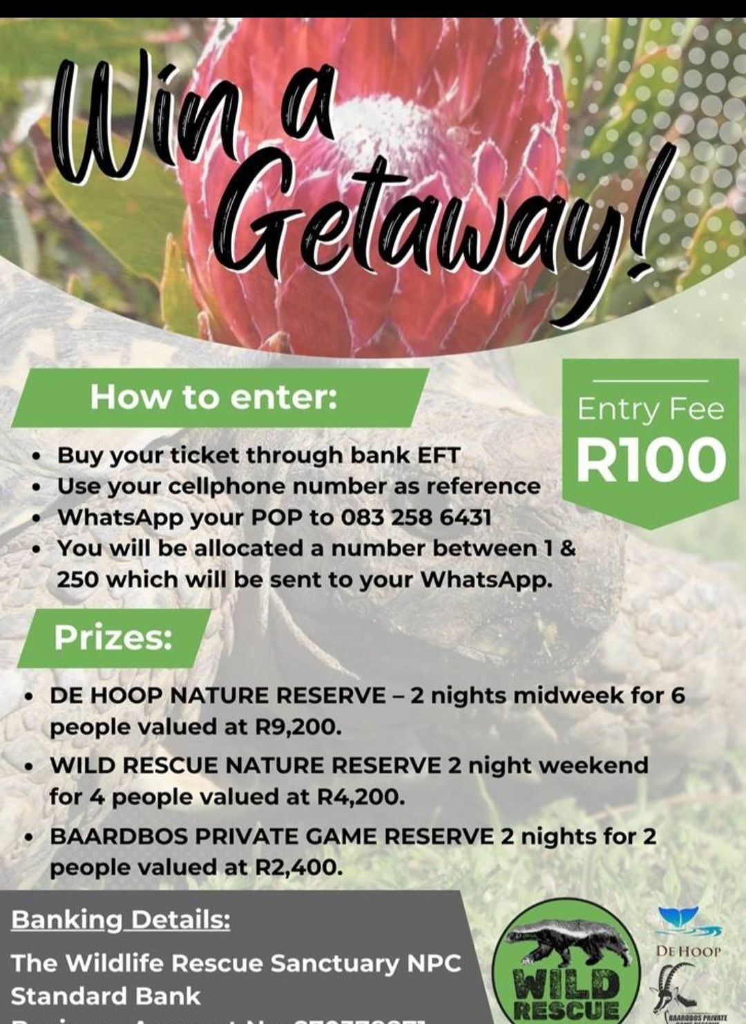 Wild Rescue NPO | Riversdale