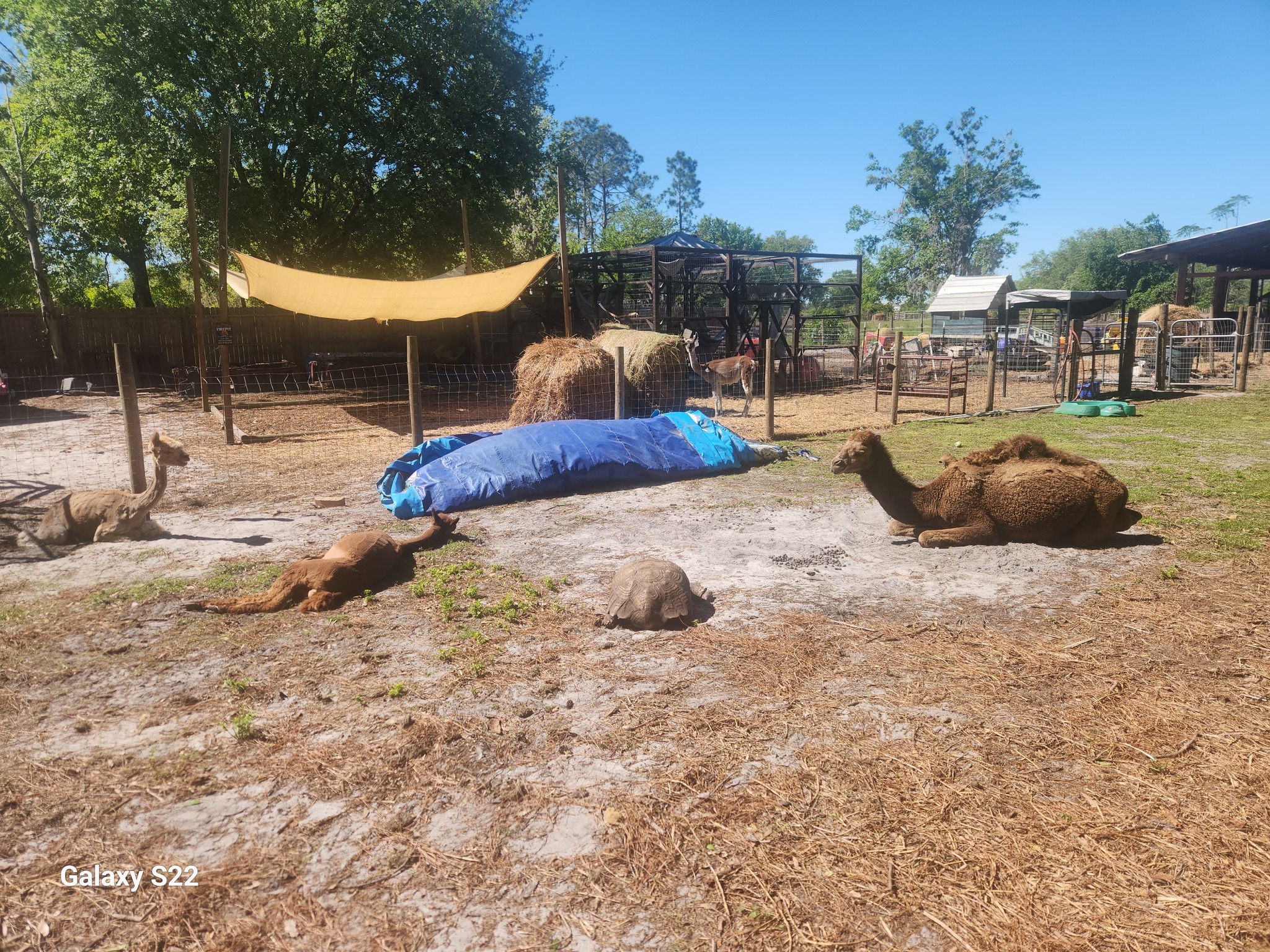 2nd Chance Ranch and Rescue Inc