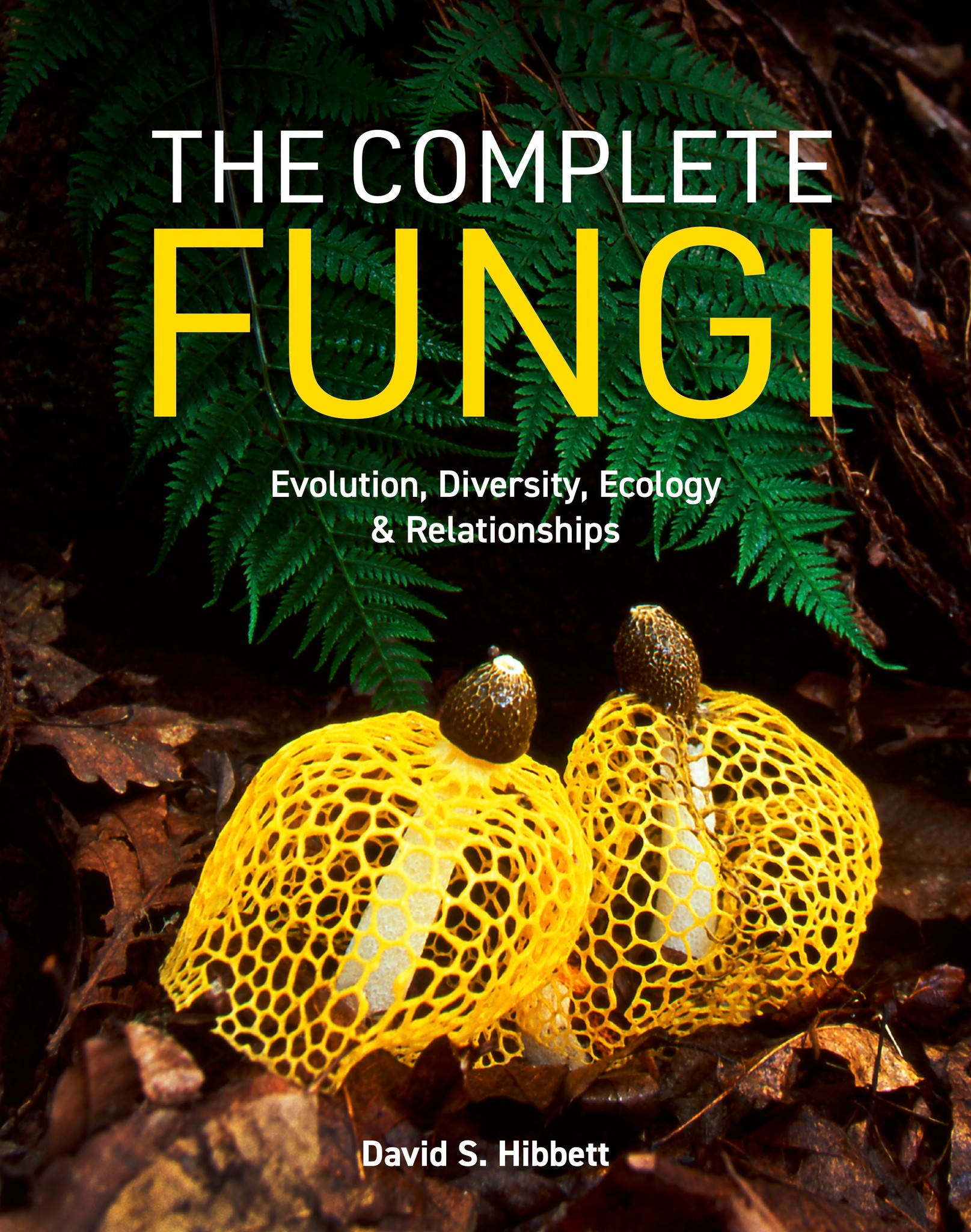 What is the most comprehensive fungus identification book?