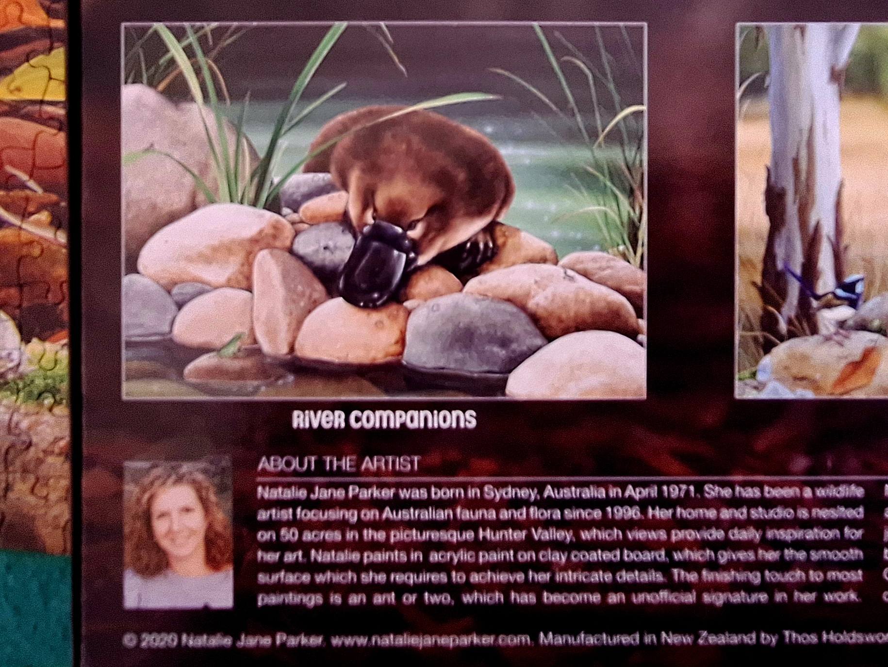 Meffert's Platypus puzzle arrival