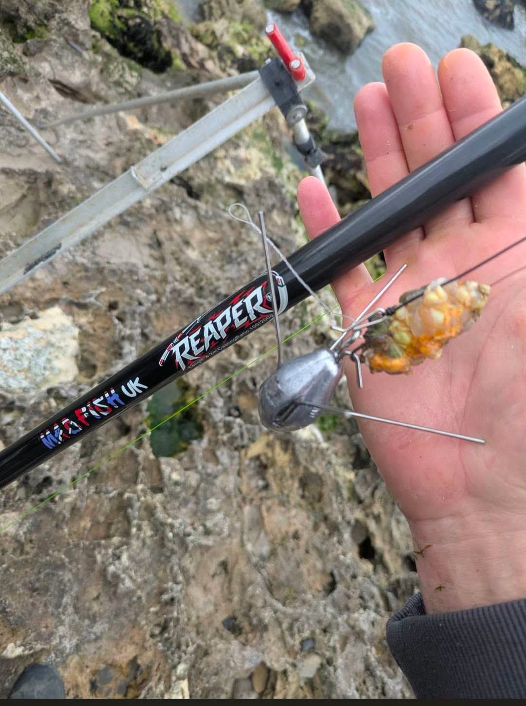 buy a reaper rod fishing pole X Freshwater & Saltwater Fly The highly sought Reaper Rods (@reaperrods)  Punta