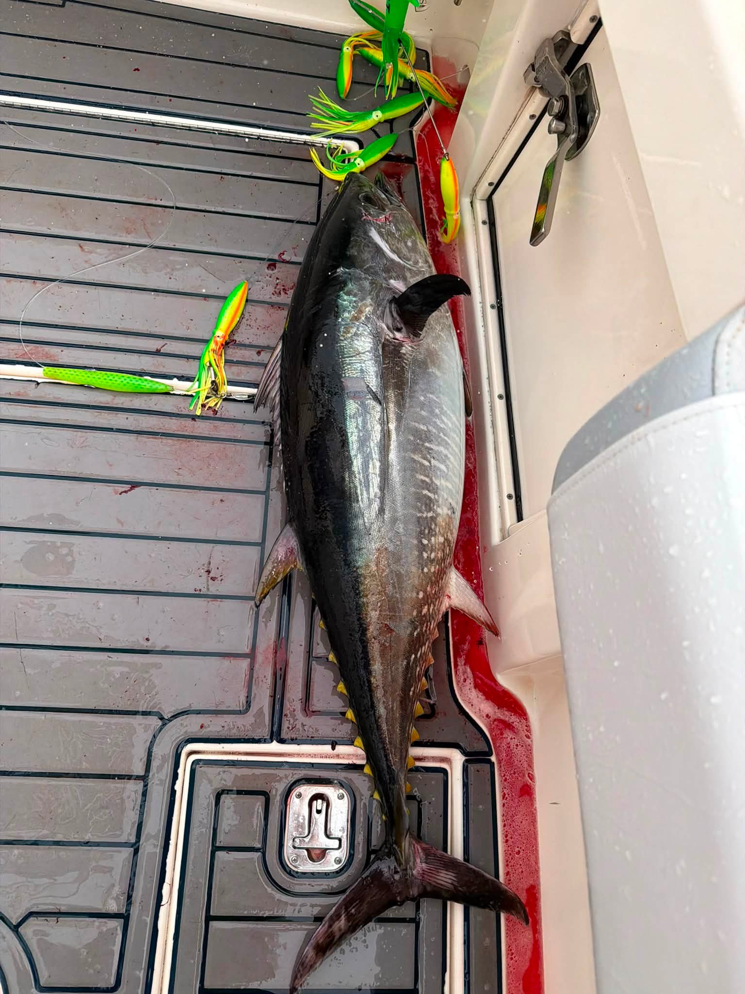deep sea fishing poles silver fin Legacy Drop Big Game Rod Designed for high Deep Sea Fishing Rods: A