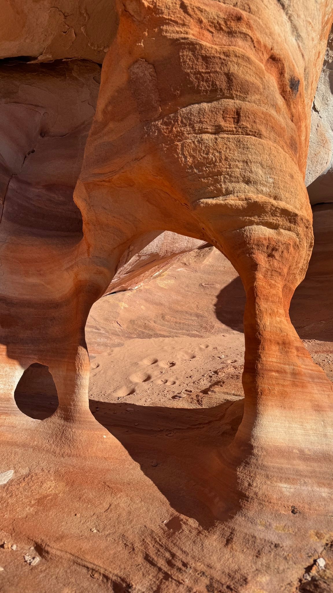 Eric - Wildlife tracks in the sand. Buffington Thrust Window, Gold ...