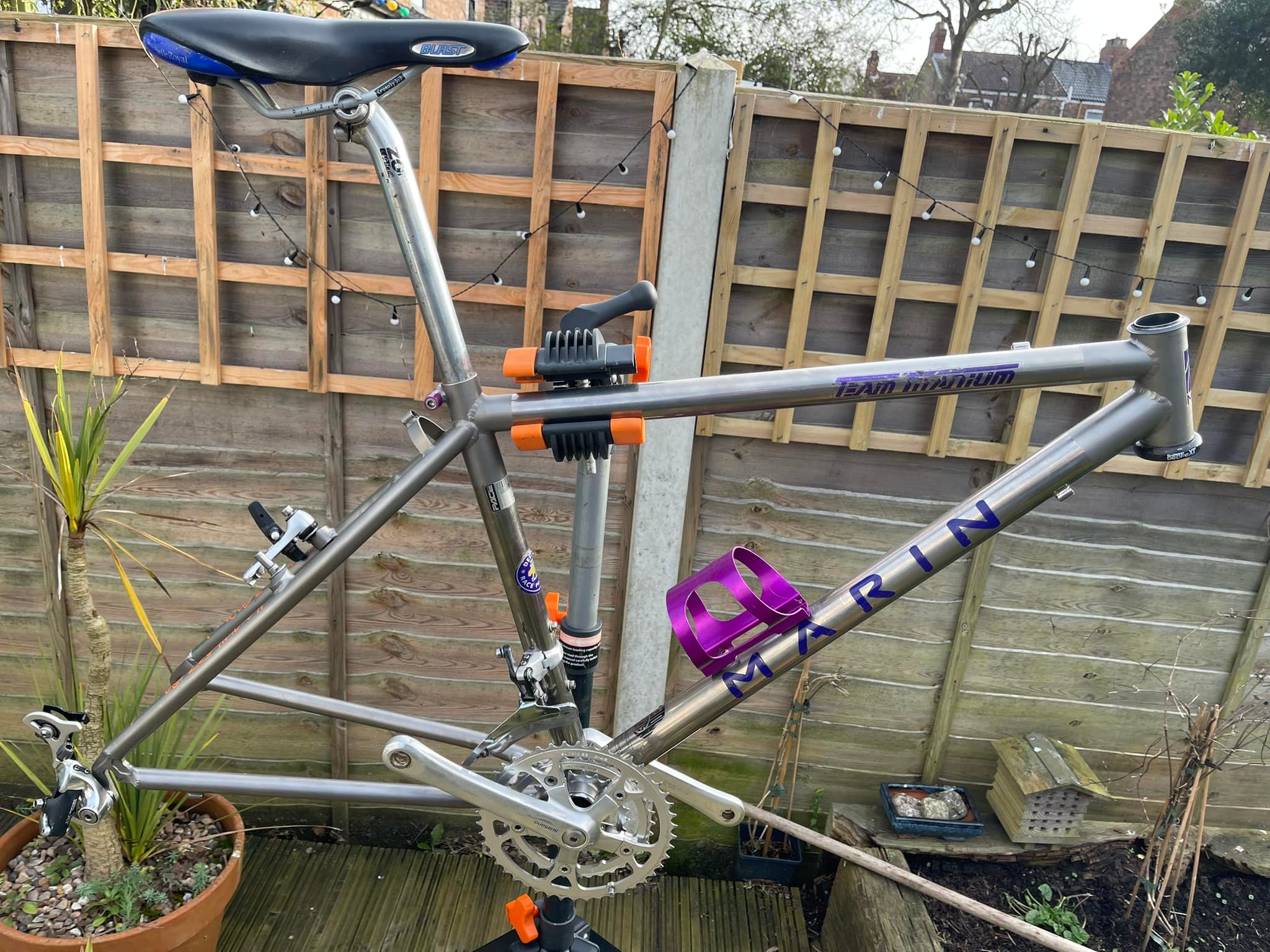 100% needs to go now as I need the cash for something else! 15.5