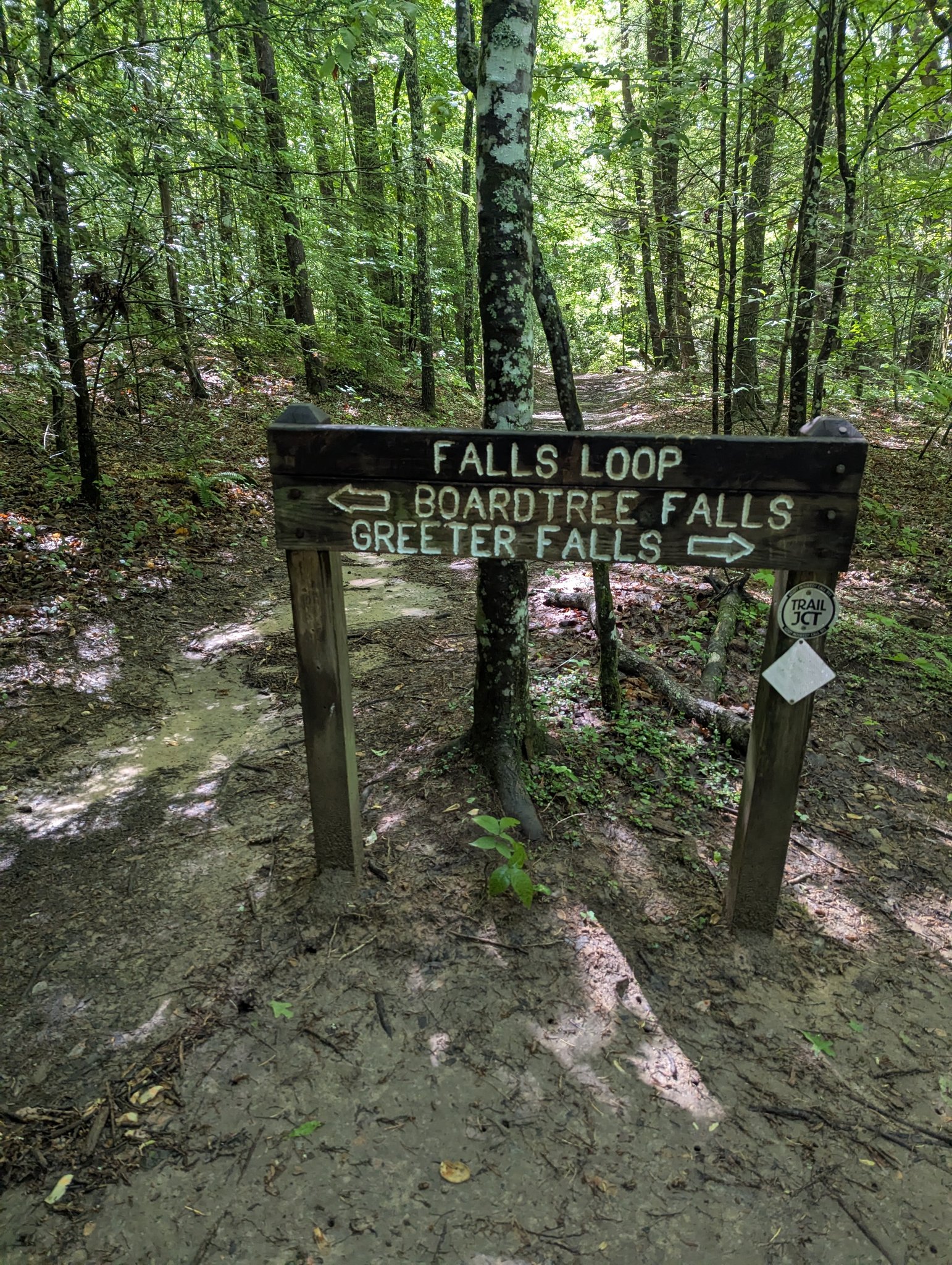 North Georgia Hiking & Adventure | We made the trek up to Greeter Falls ...