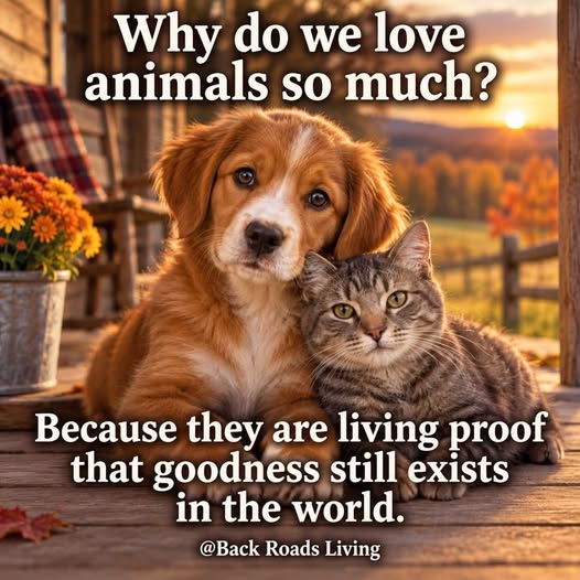 Cathy Sullivan | Facebook