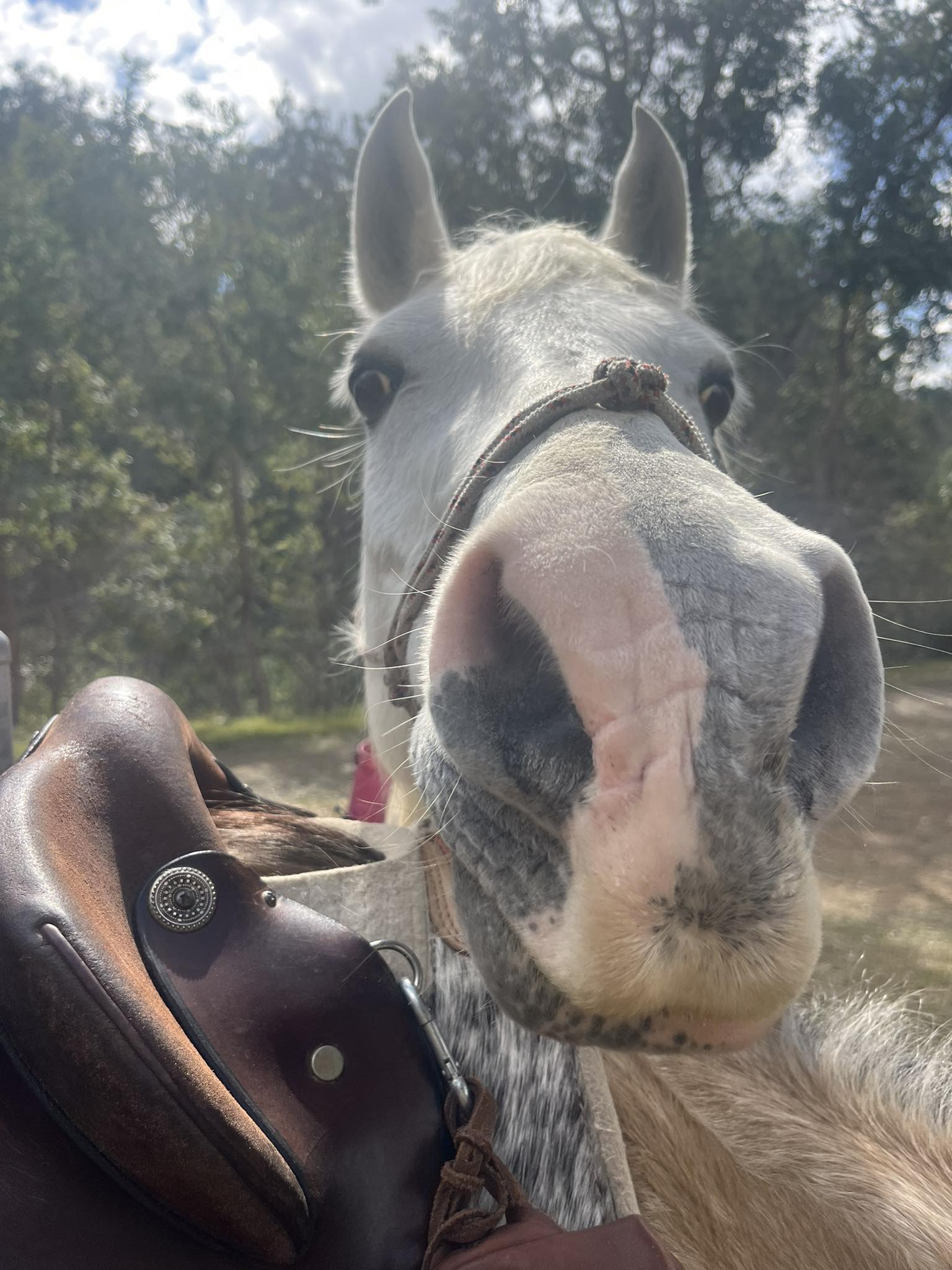 Lost leather pouch with EPIRB near Linville