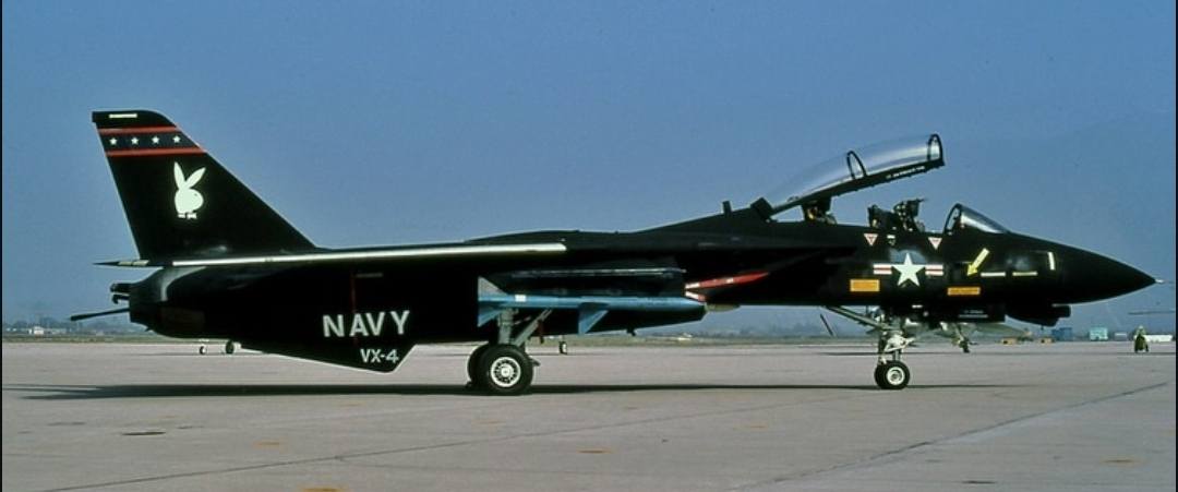 Grumman F-14A Tomcat used by USN VX-4 Evaluators
