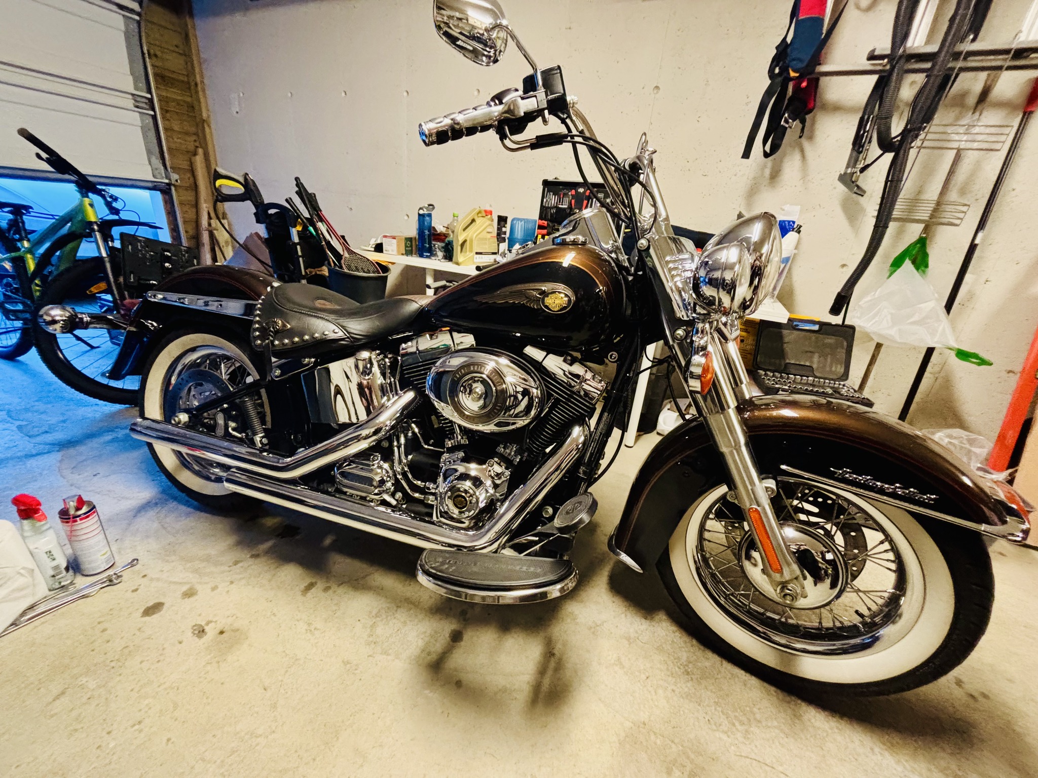 Harley-Davidson 110th Anniversary Models | Facebook