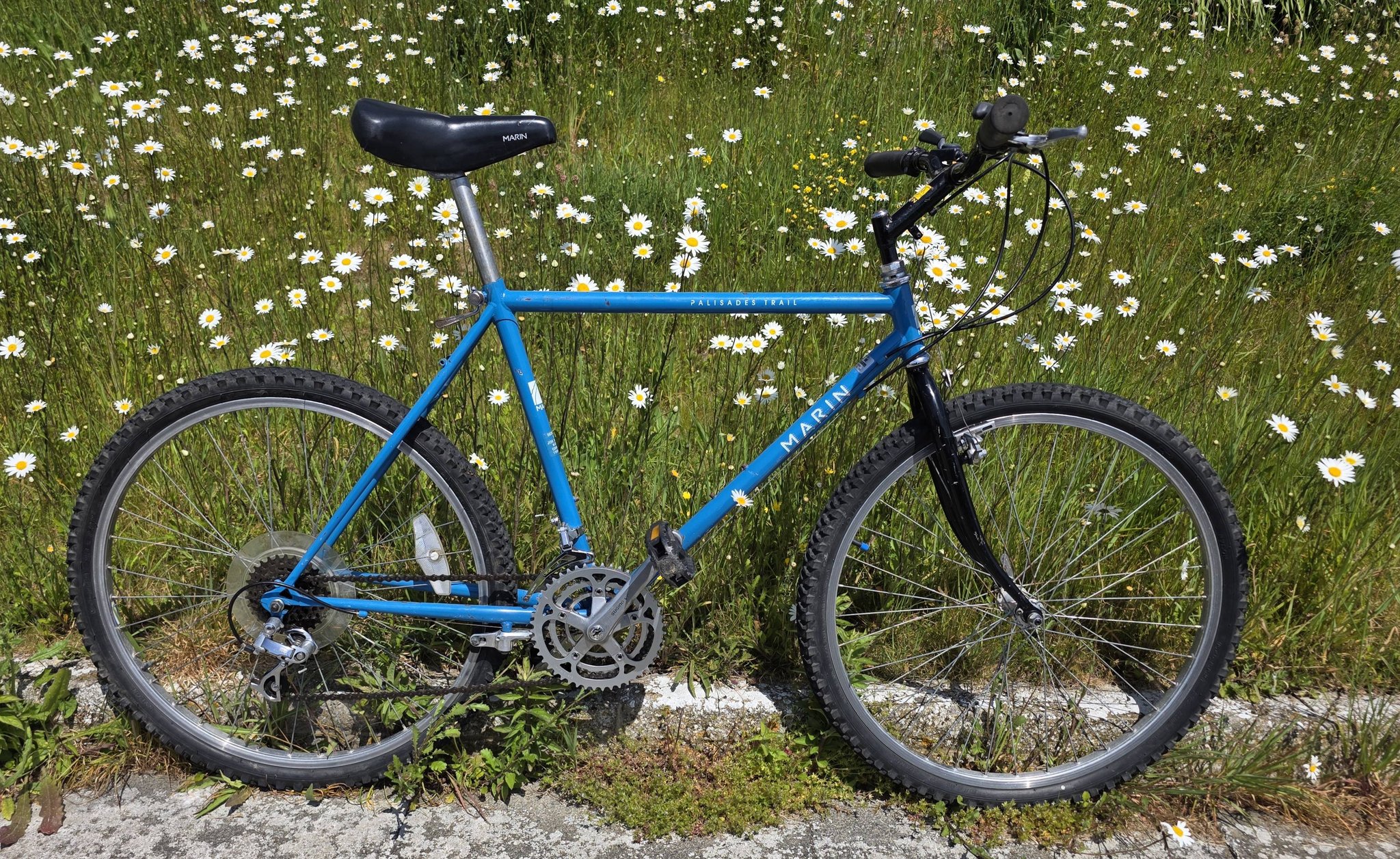 Marin Palisades Trail bike with gumwall tire potential