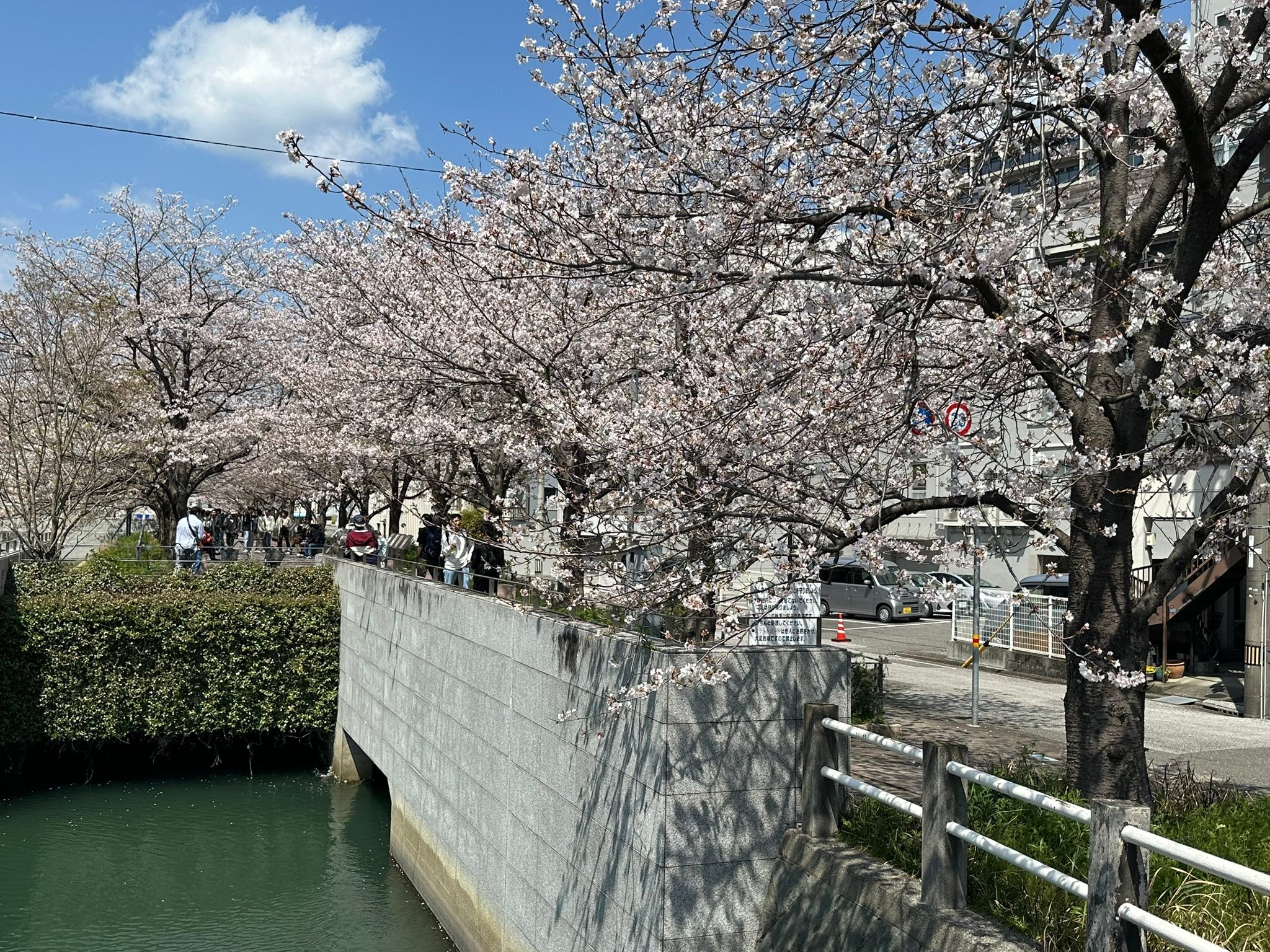 Travel in Japan?? ( Kochi Prefecture❤️ )