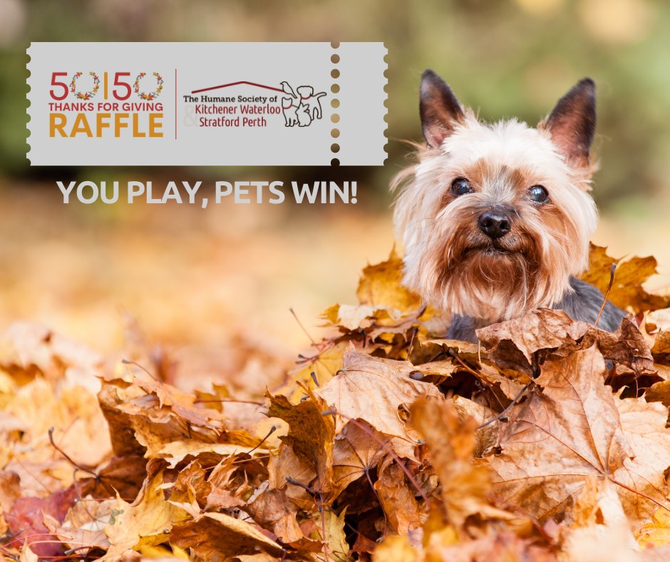 Stratford Perth Humane Society - Our 50/50 Thanks For Giving Raffle ...
