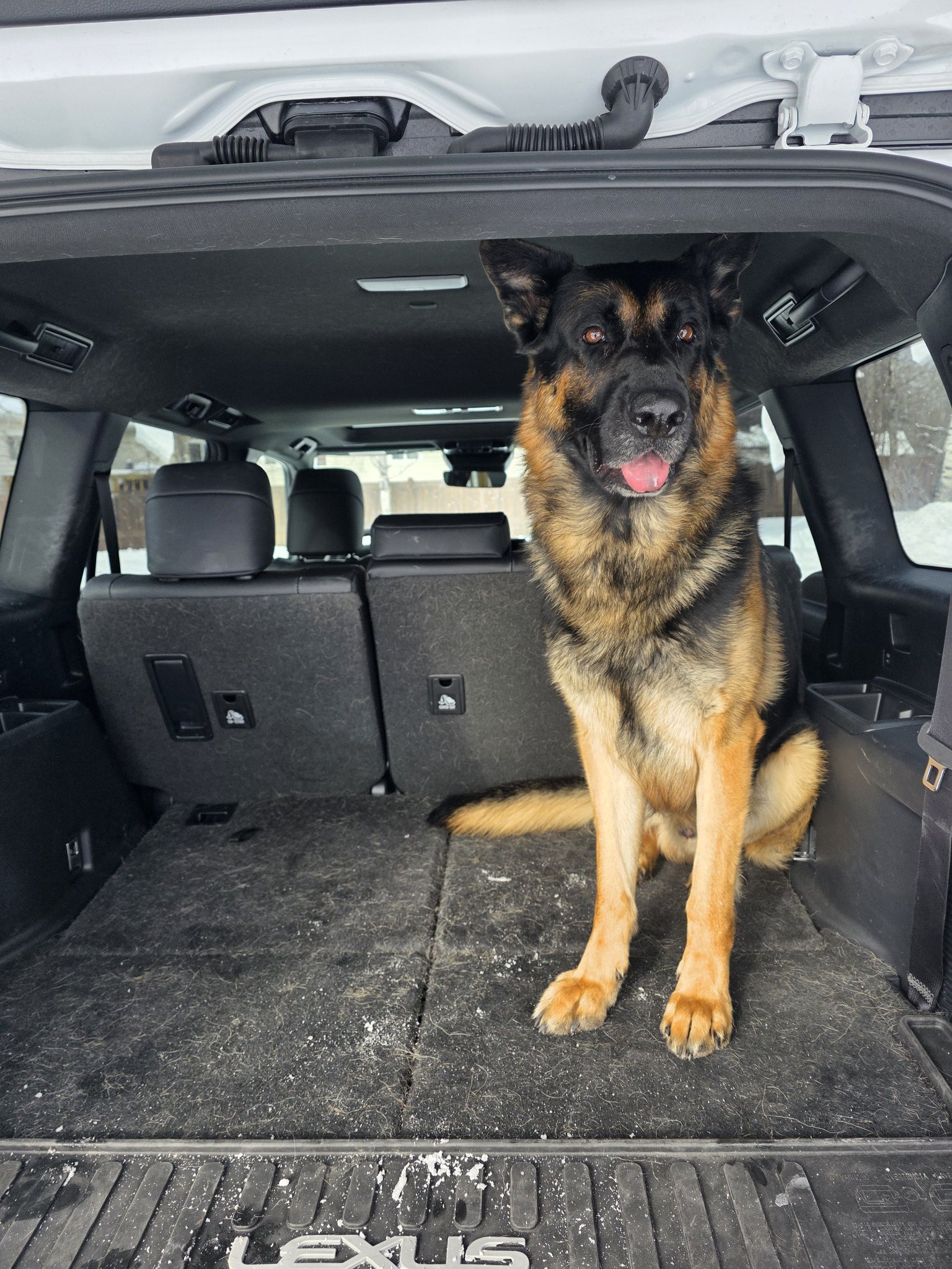 IAKTC Dog Car Seat Covers for Mercedes-Benz GLA SUV (H247