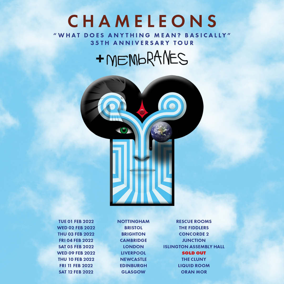 The Chameleons T-shirt Uomo: 'What Does Anything Mean? Basically' - Band New Wave