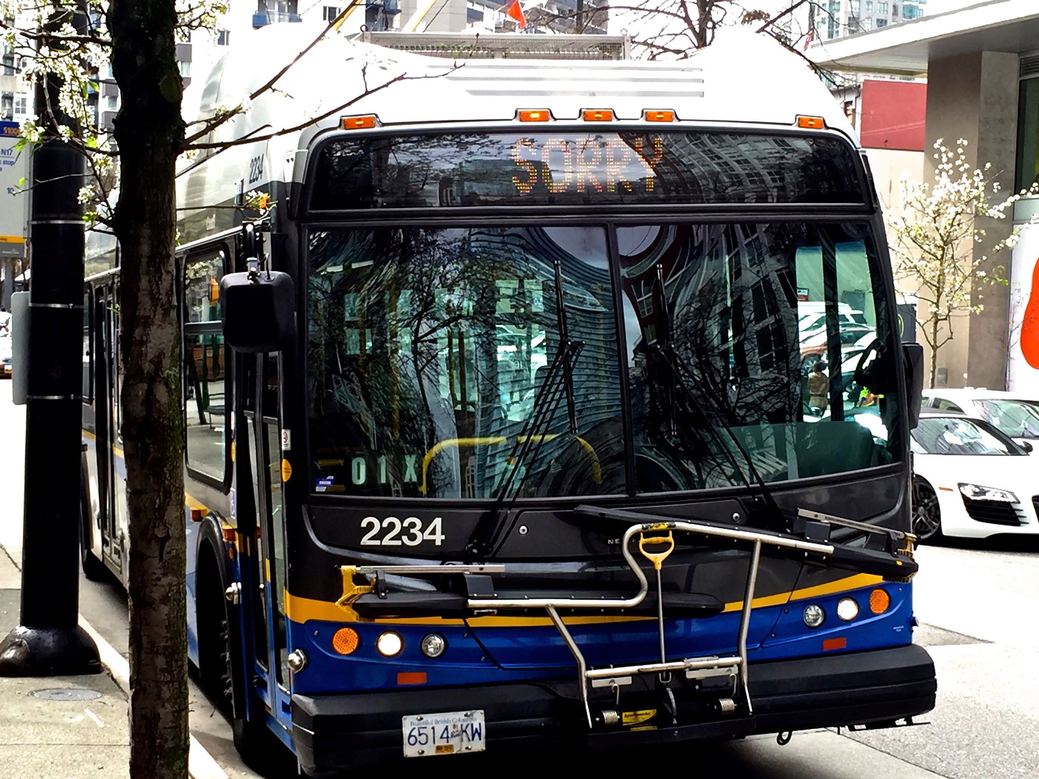 More Buses NOW! | Facebook