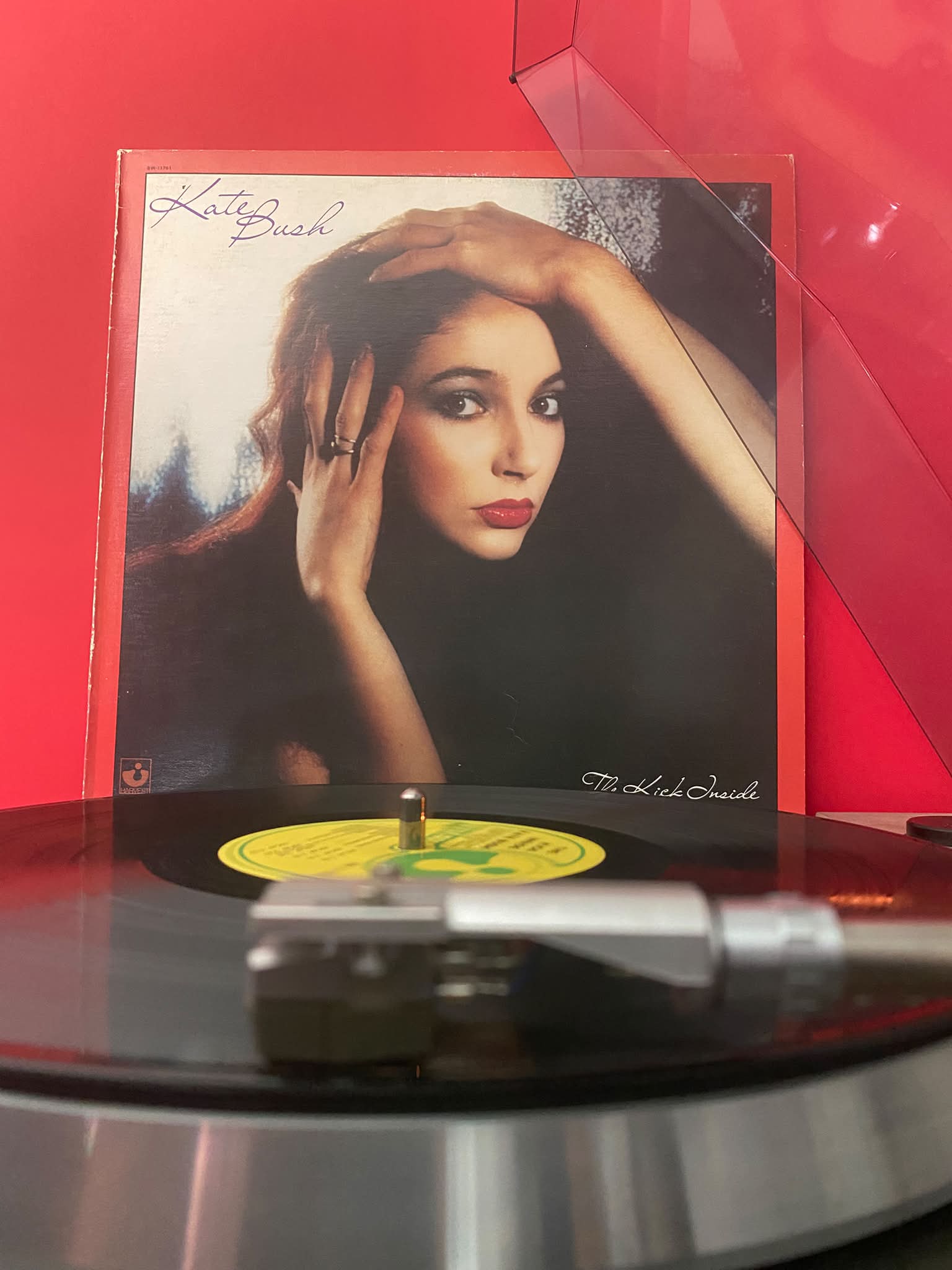 Kate Bush releases debut album