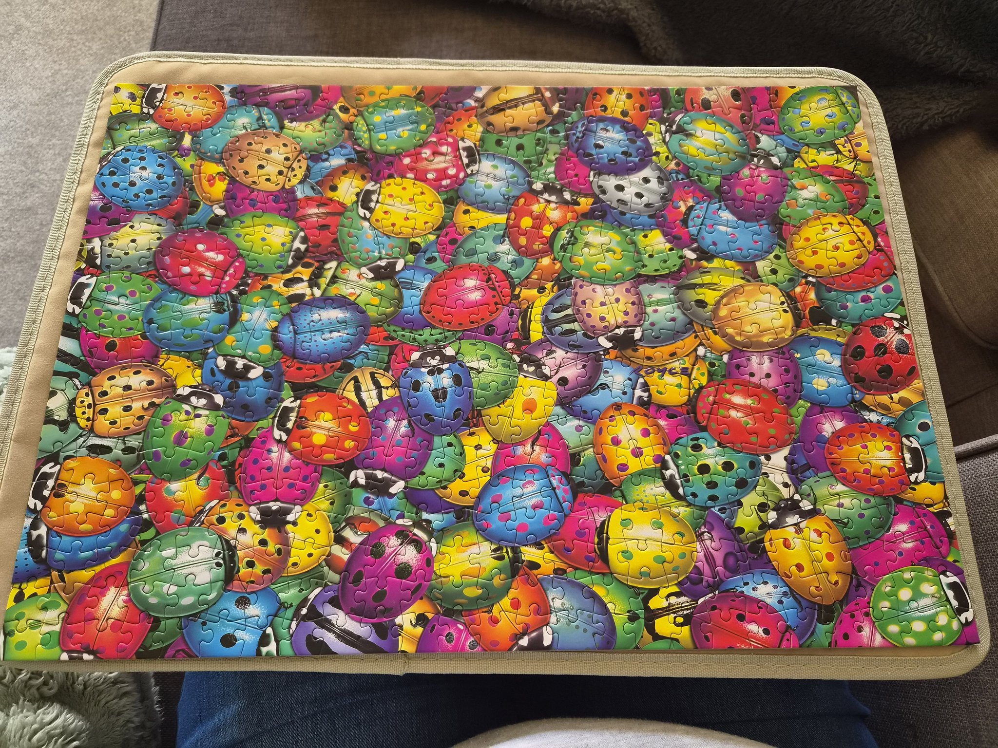 Just finished this double sided Beetlemania puzzle from Cheatwell 🪲🐞