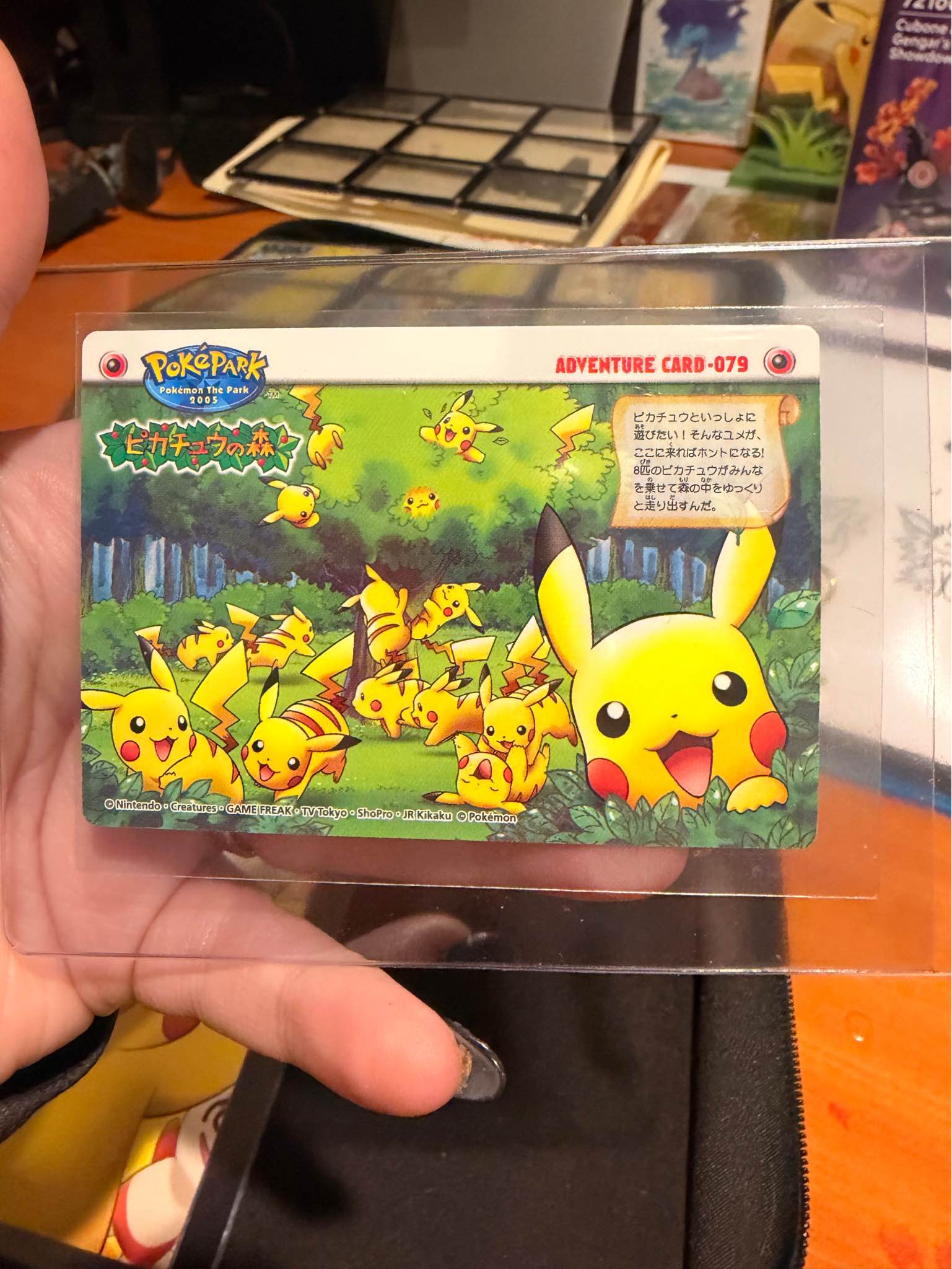 Pokémon Park Pokepark Adventure Card Bandai Zukan Carddass 2005