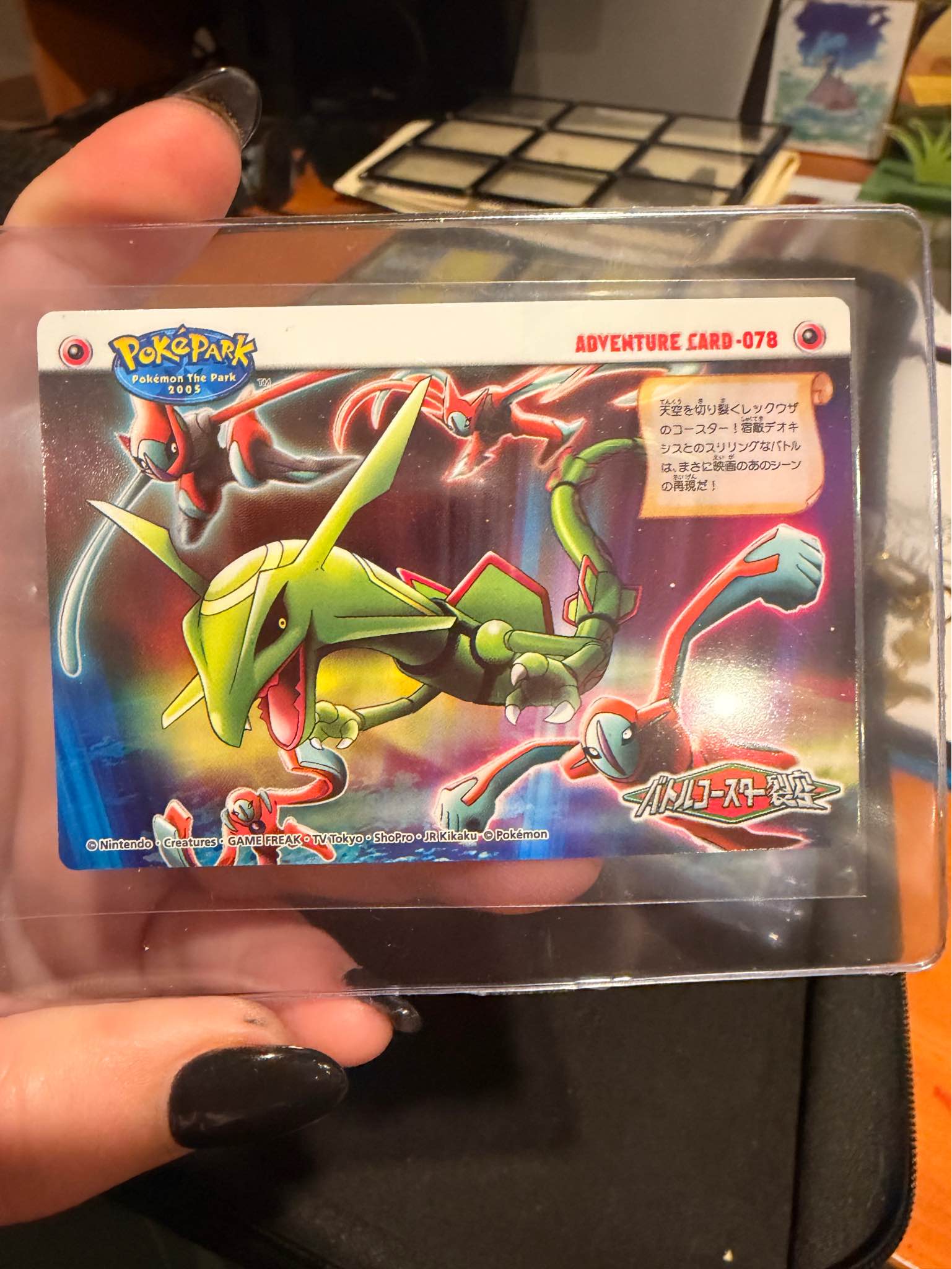 ポケモンカード ポケパーク 2005 ADVENTURE CARD-081 Pokémon Park Pokepark Adventure Card Bandai Zukan Carddass 2005