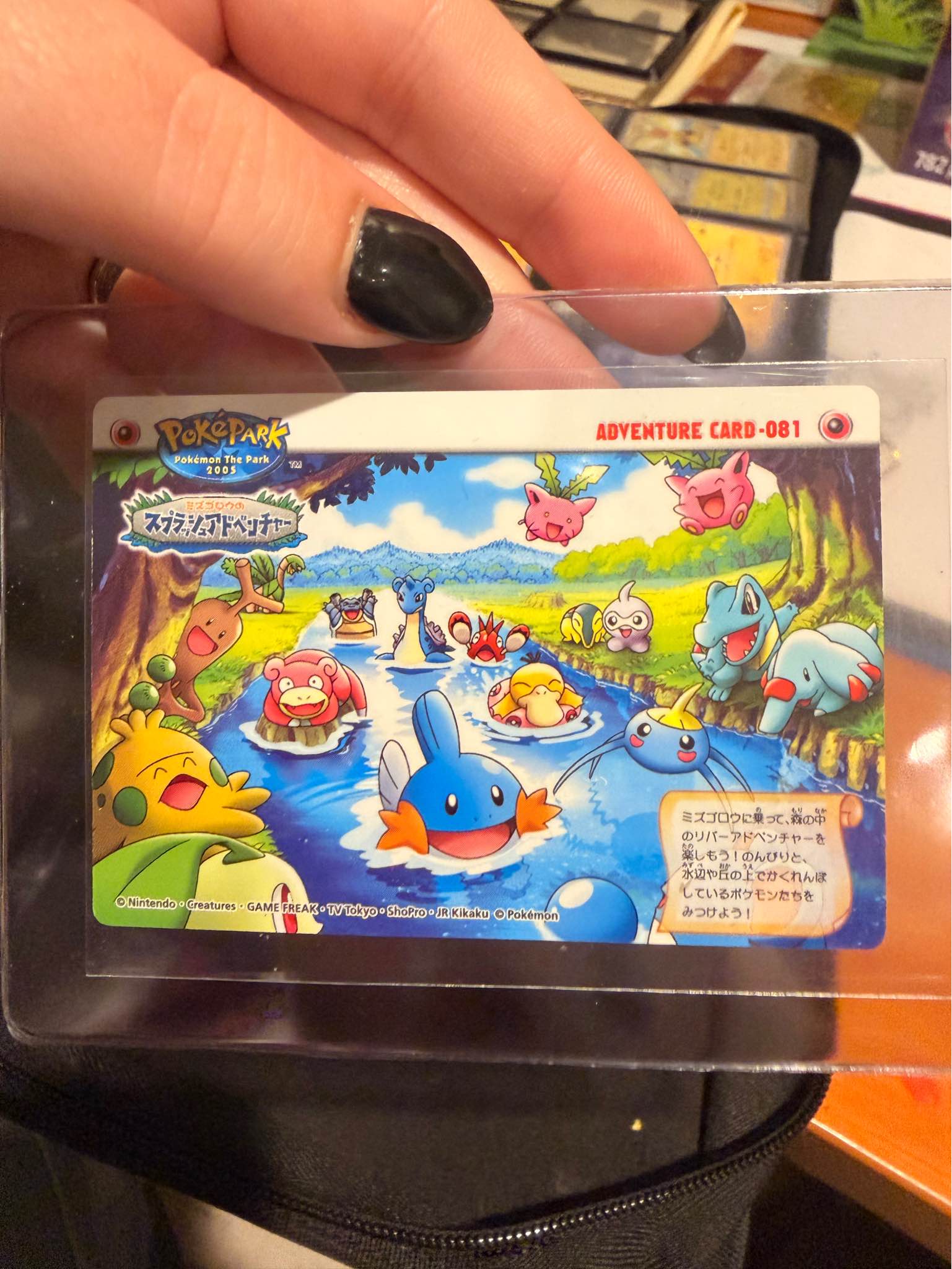 Pokémon Park Pokepark Adventure Card Bandai Zukan Carddass 2005