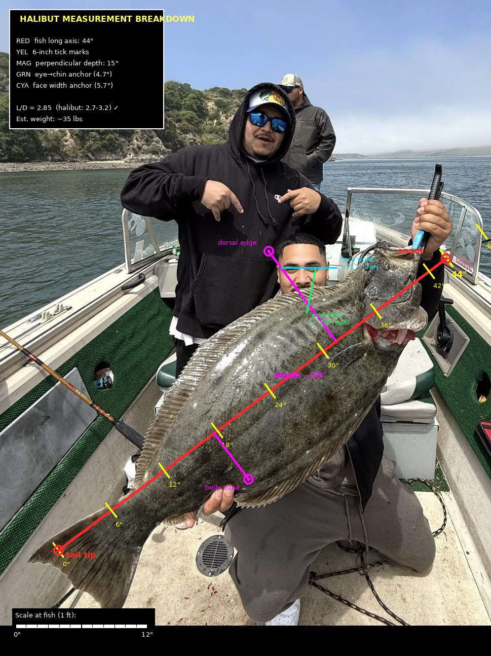 9 0 j hooks for halibut fishing Mustad Tuna Shark Hook An expanded gap accommodates larger baits while optimizing the bite zone Micro Fishing Hooks Beau Mac