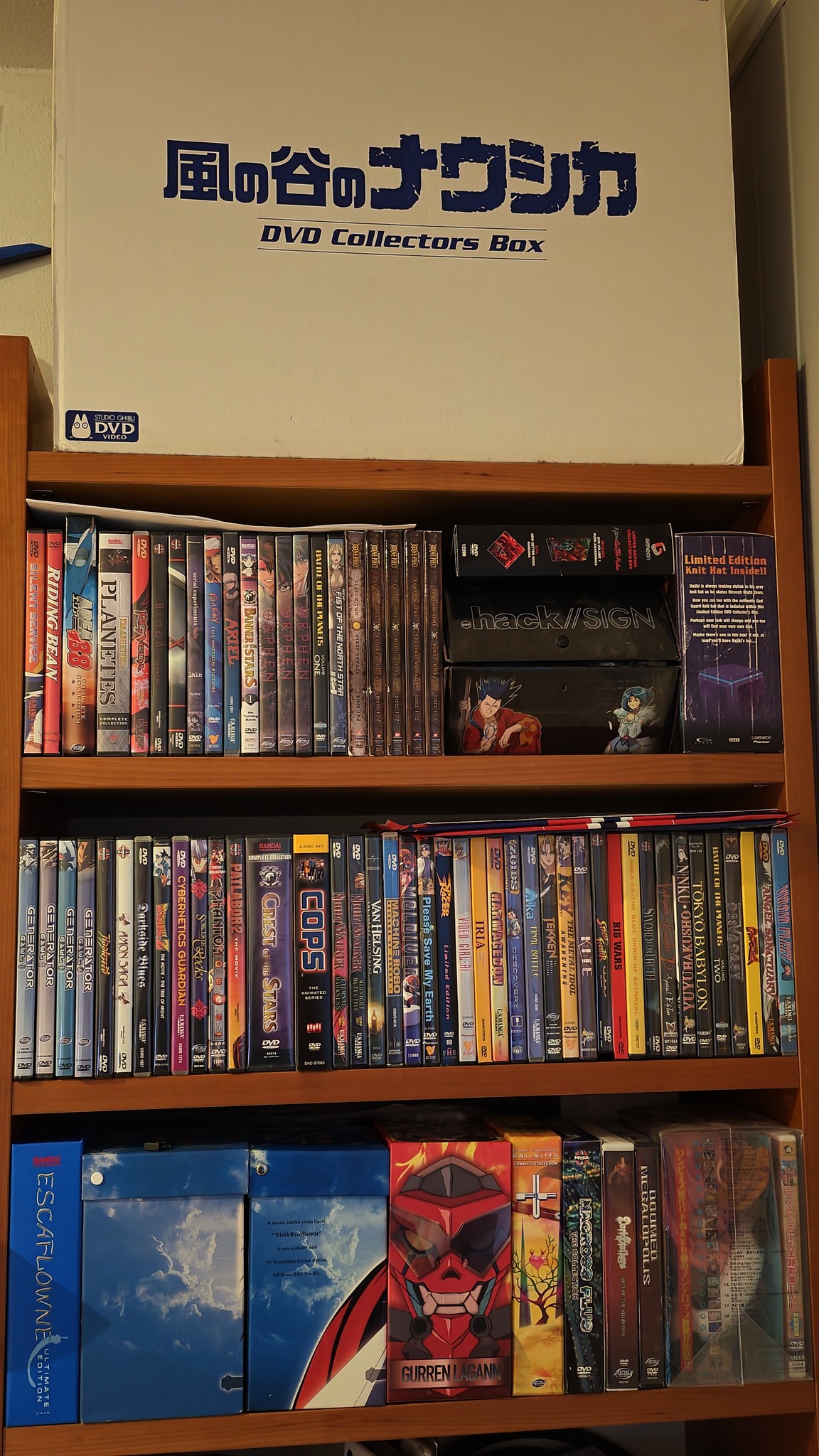 It's coming along. 風の谷のナウンカDVD DVDCollectorsBox Collectors