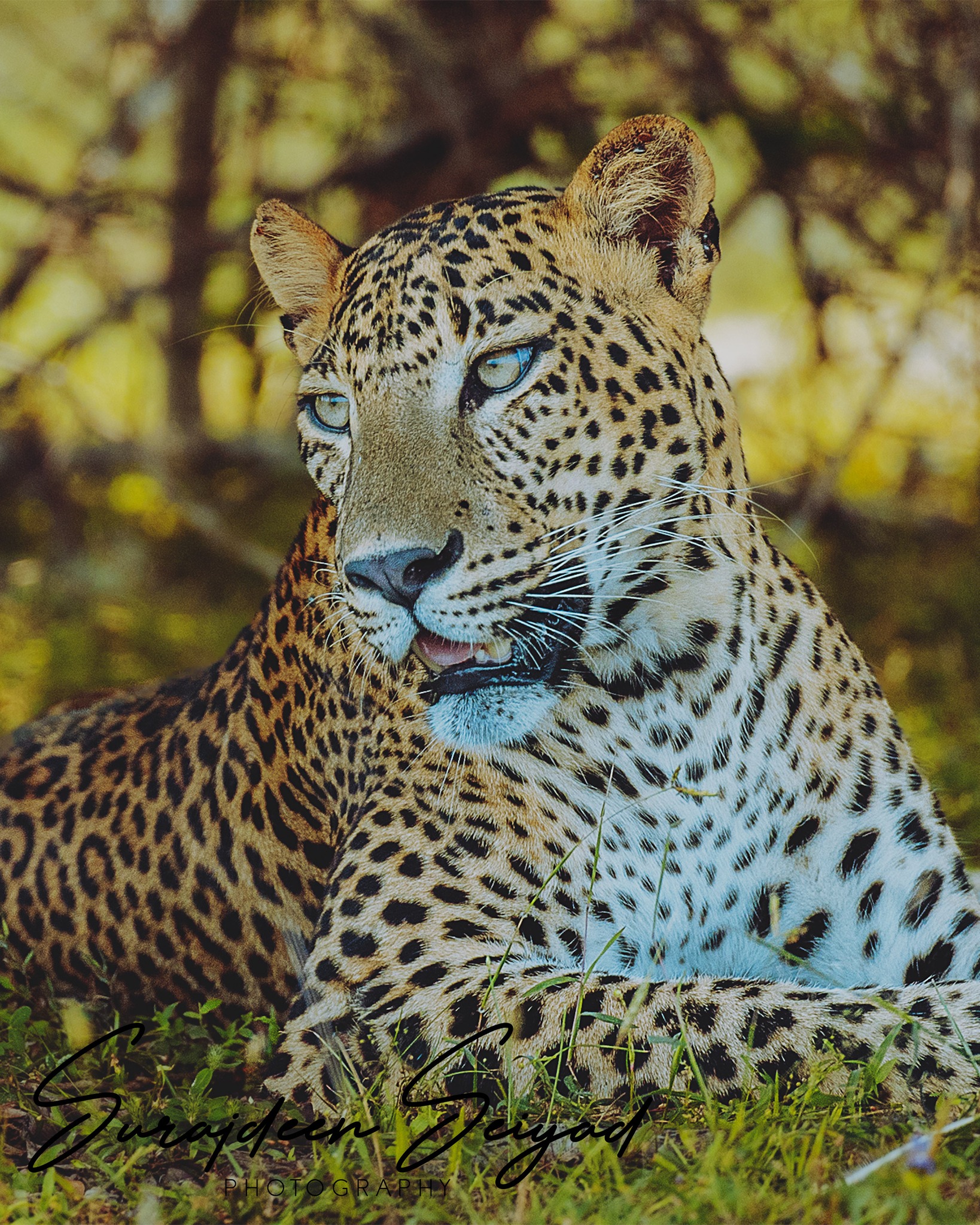 Surajdeen - Lost! I’ve had the privilege of watching him grow from a ...